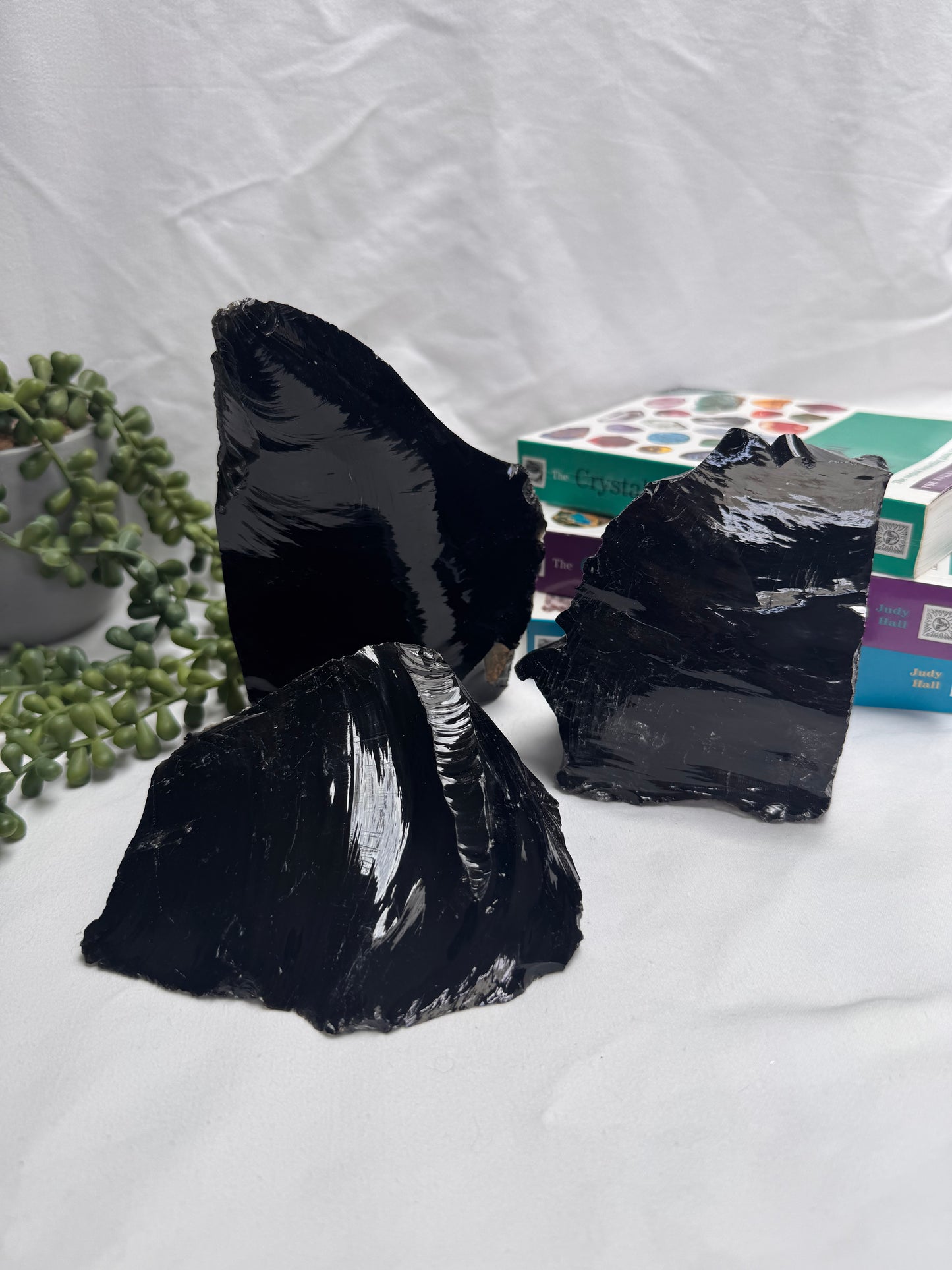 Raw Black Obsidian Freeforms