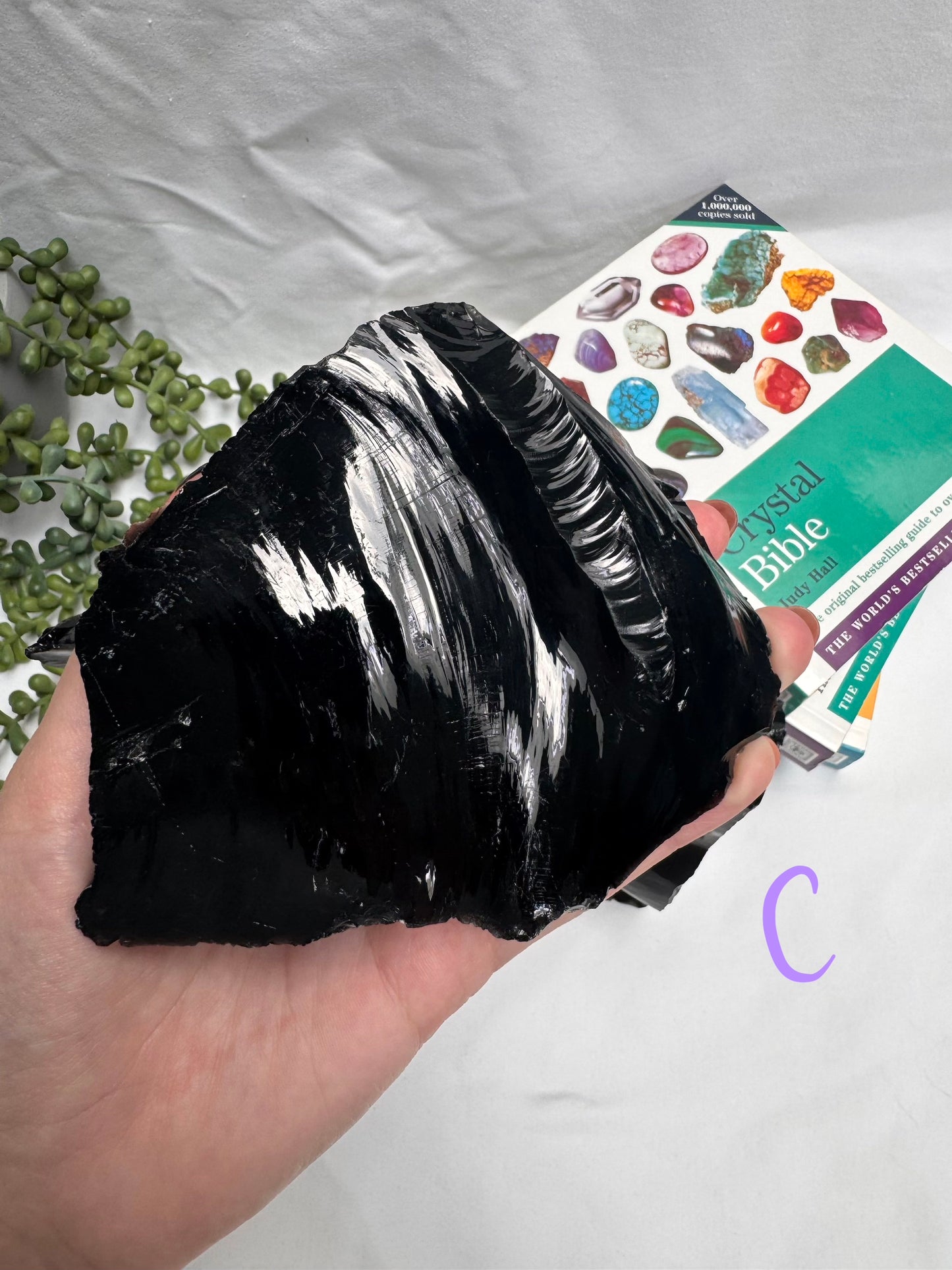 Raw Black Obsidian Freeforms