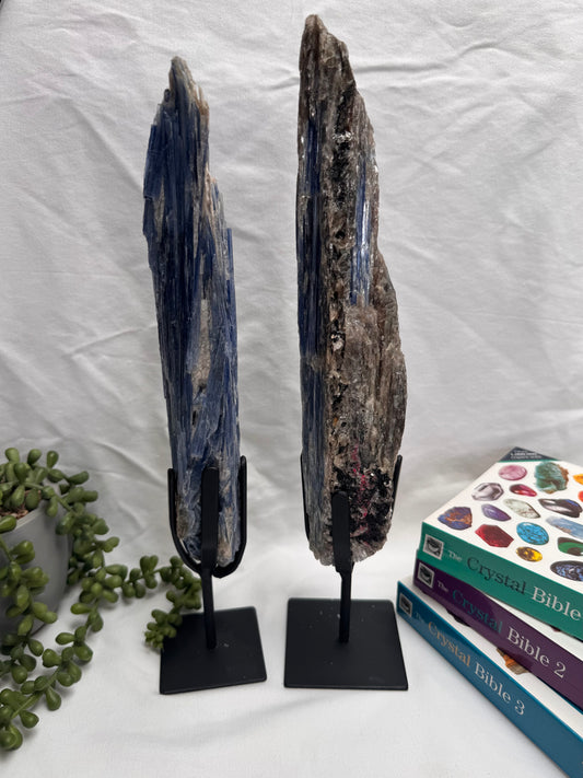 Raw Kyanites On Display Stands