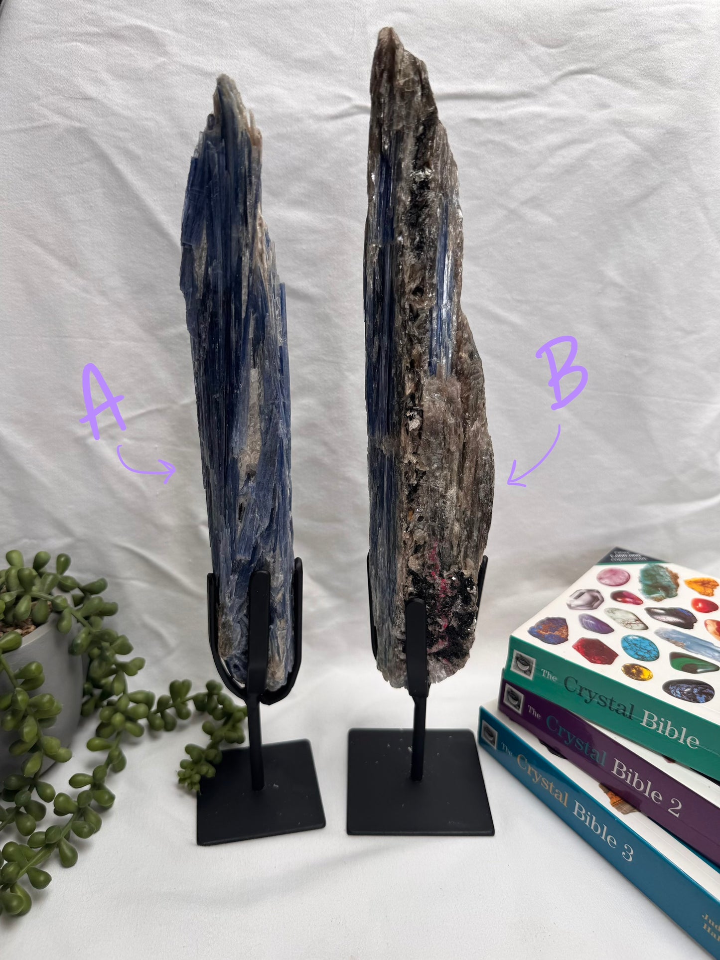 Raw Kyanites On Display Stands