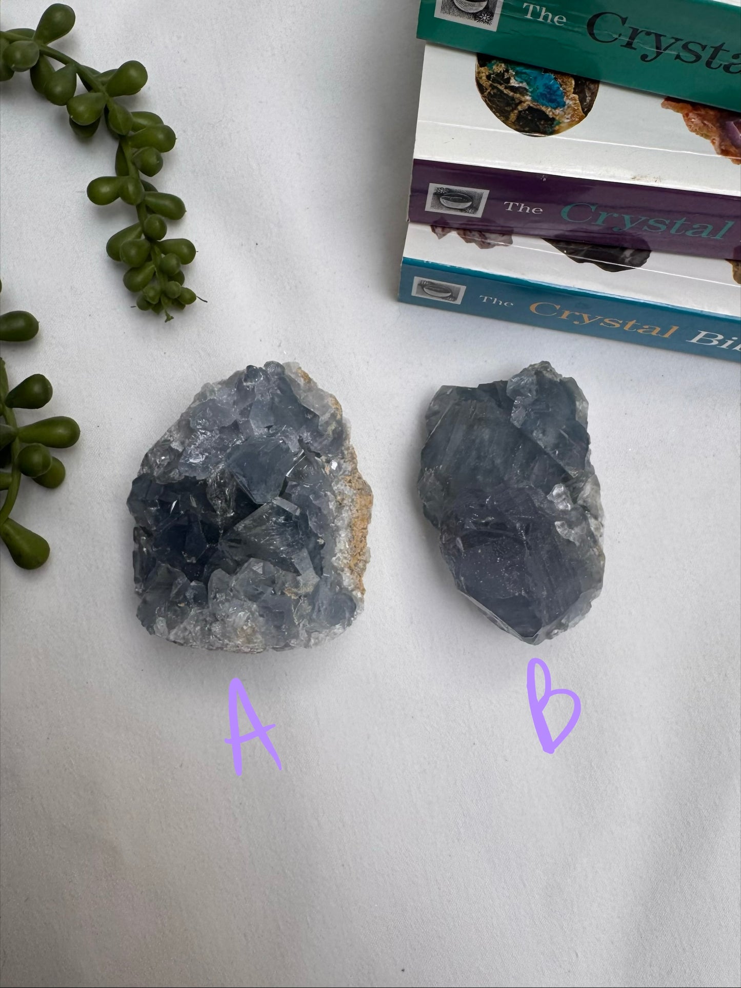 A Grade Celestite Clusters