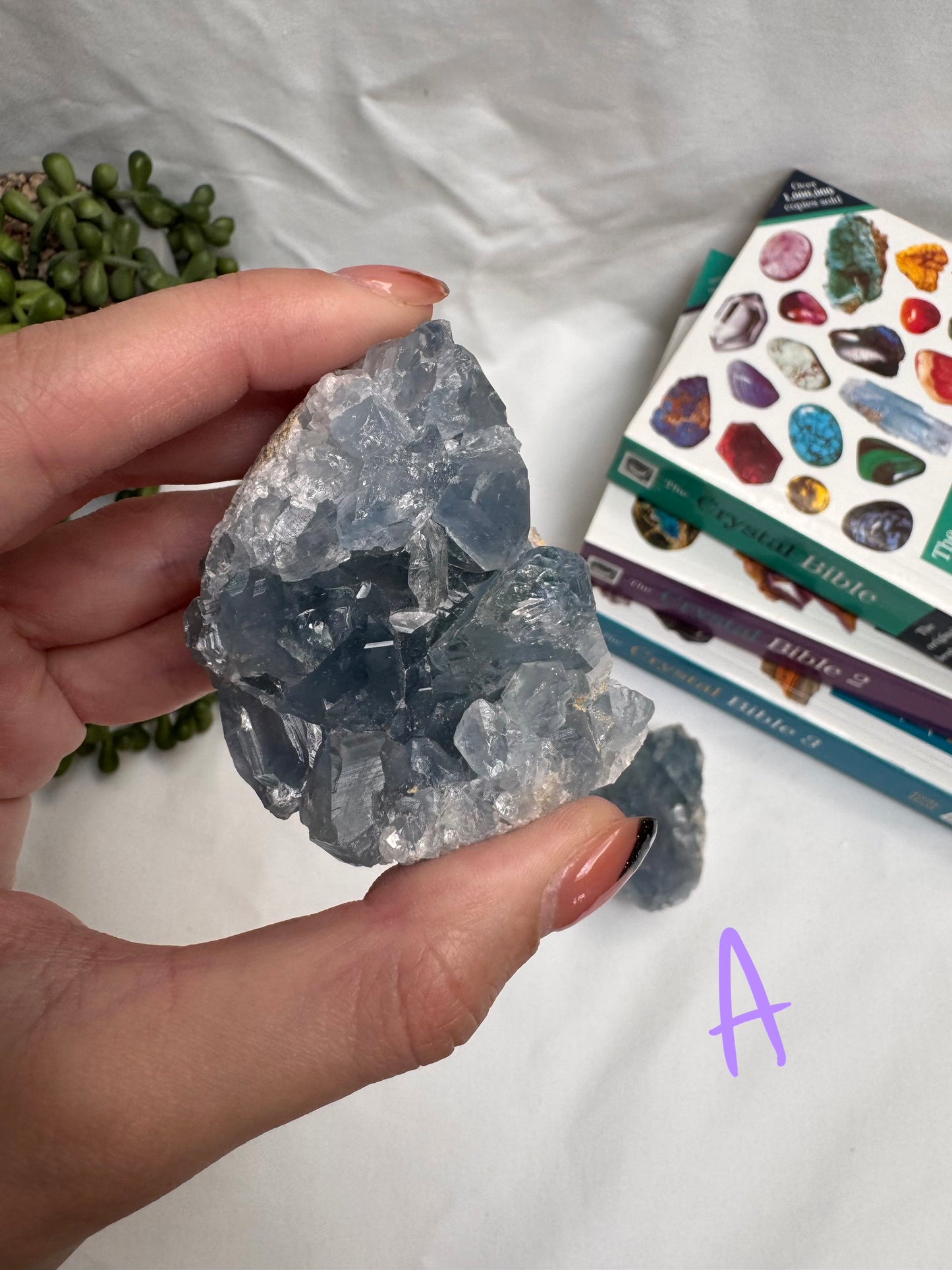 A Grade Celestite Clusters