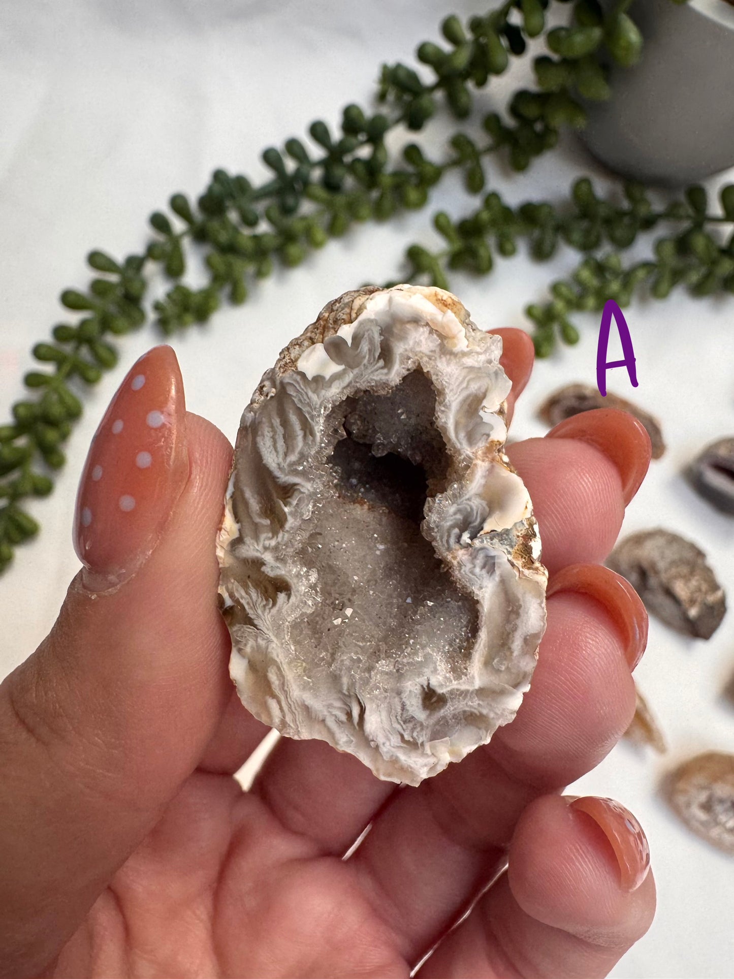 Agate Geode Halves