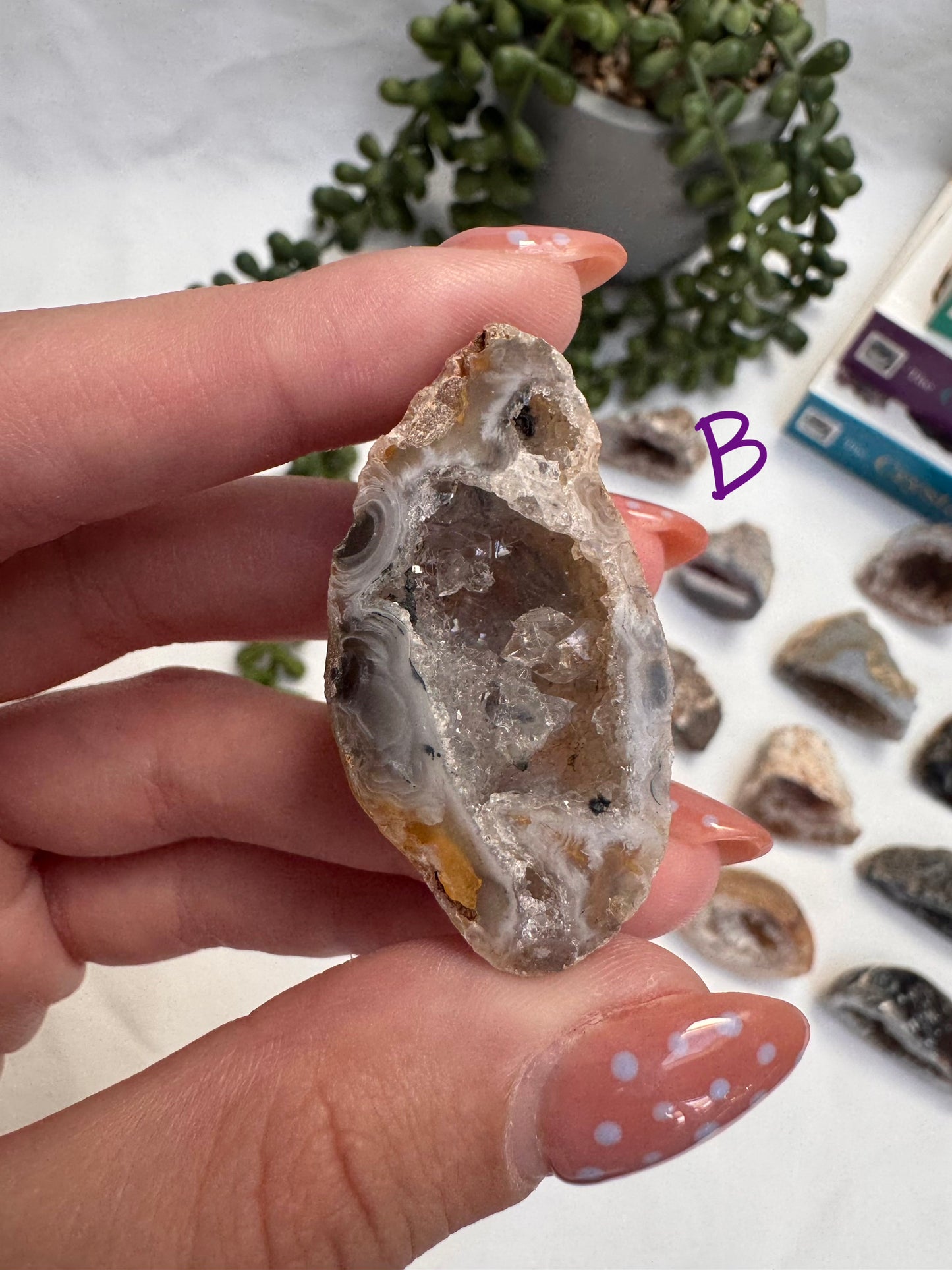 Agate Geode Halves