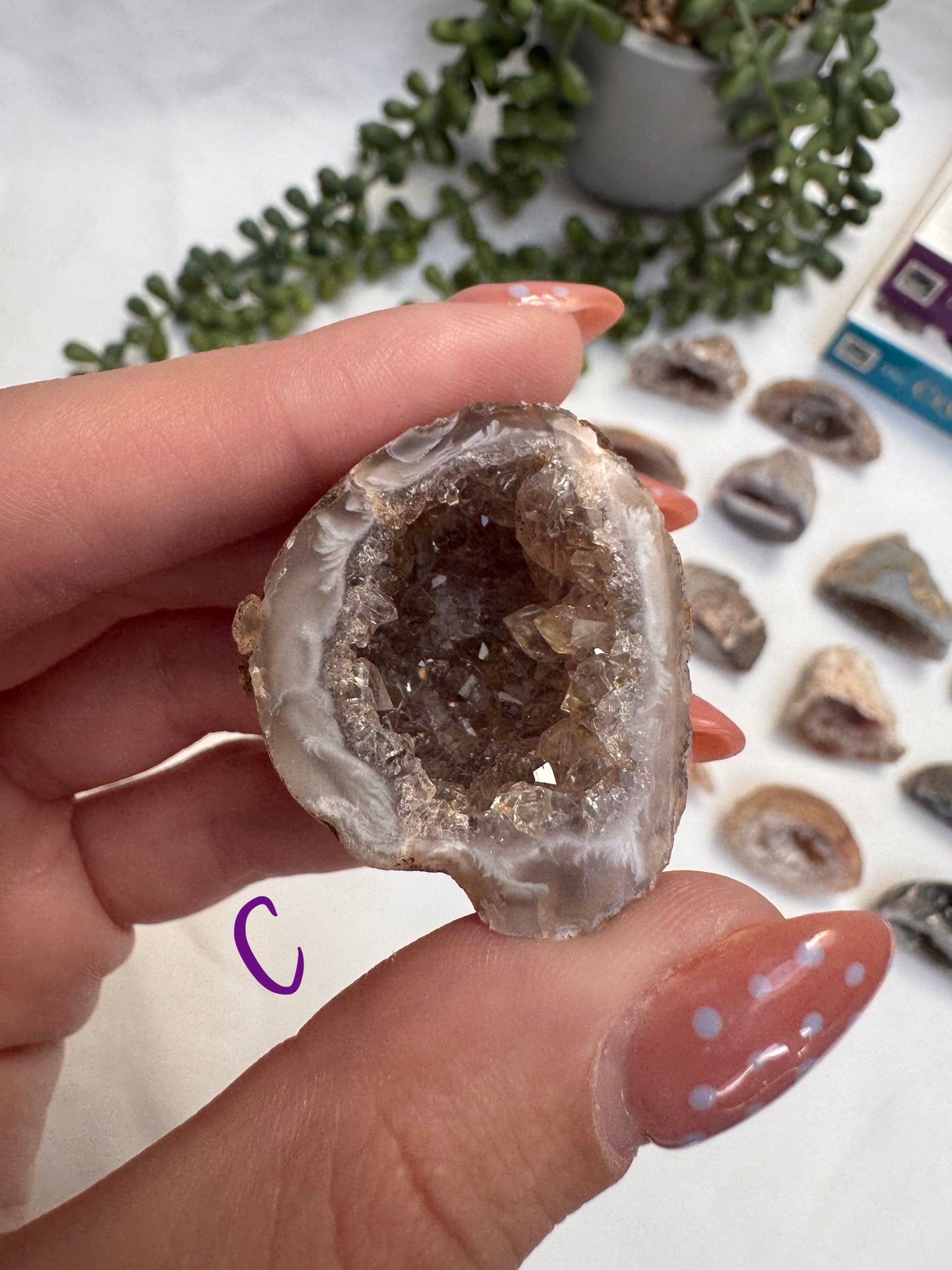 Agate Geode Halves