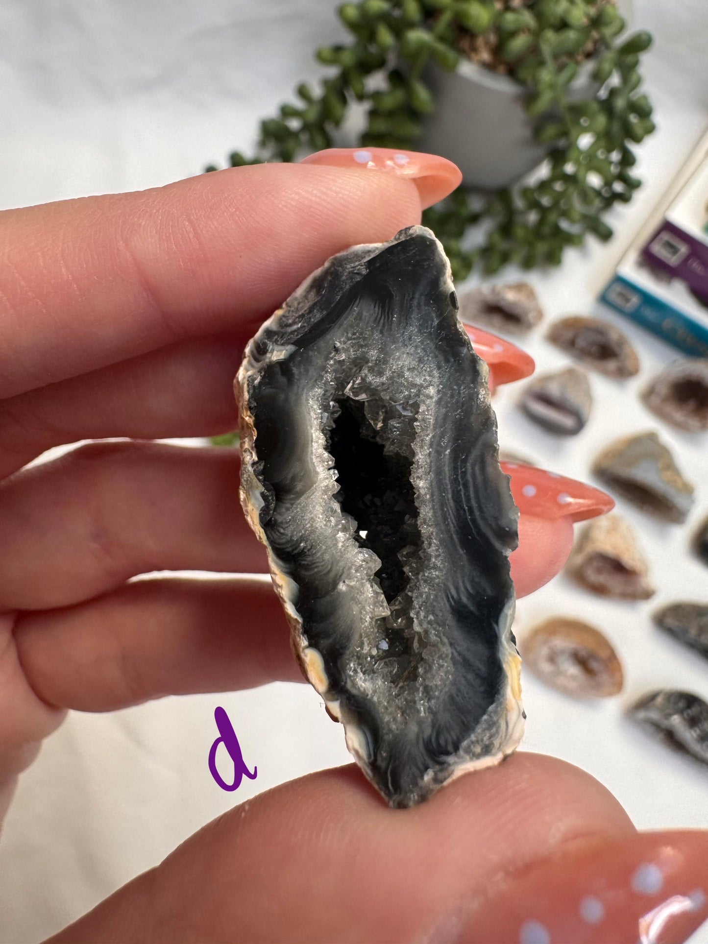 Agate Geode Halves