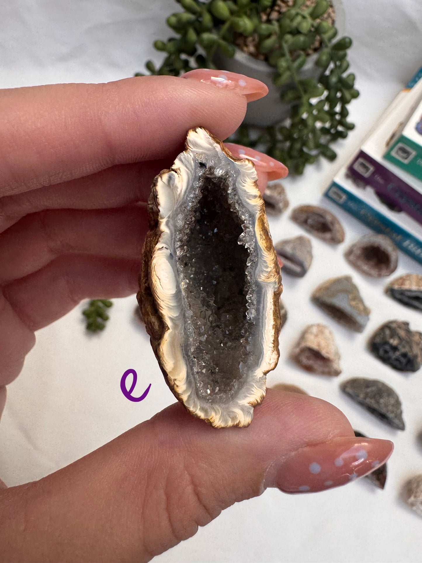 Agate Geode Halves