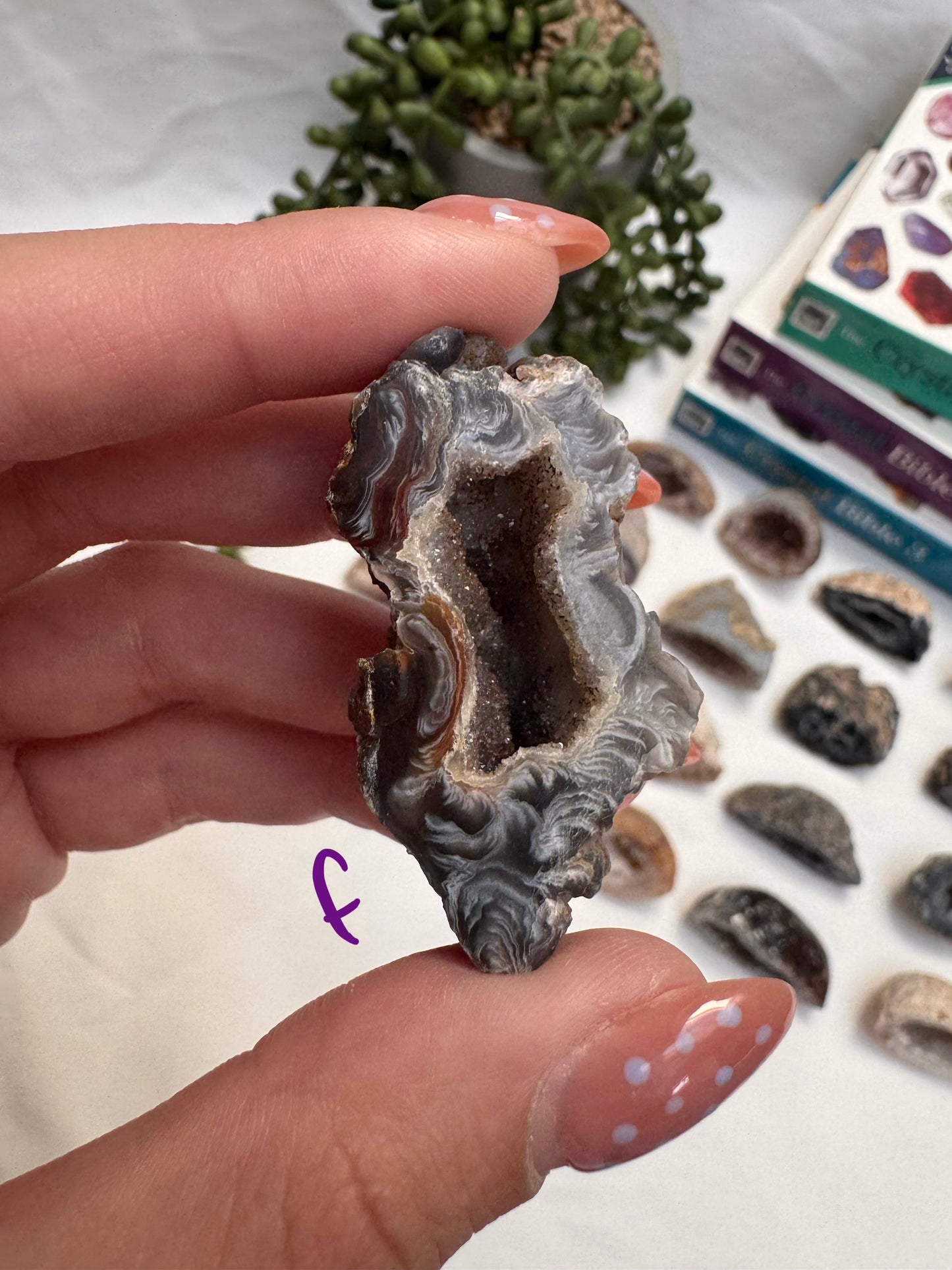 Agate Geode Halves