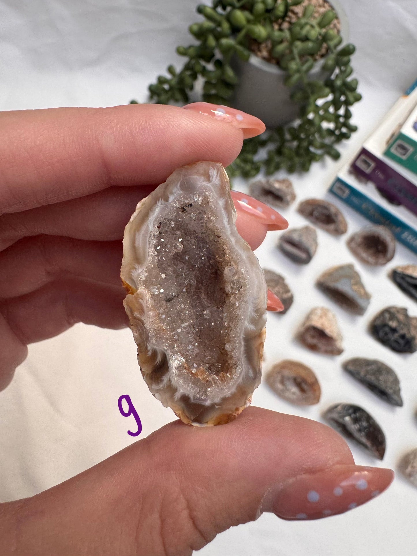 Agate Geode Halves