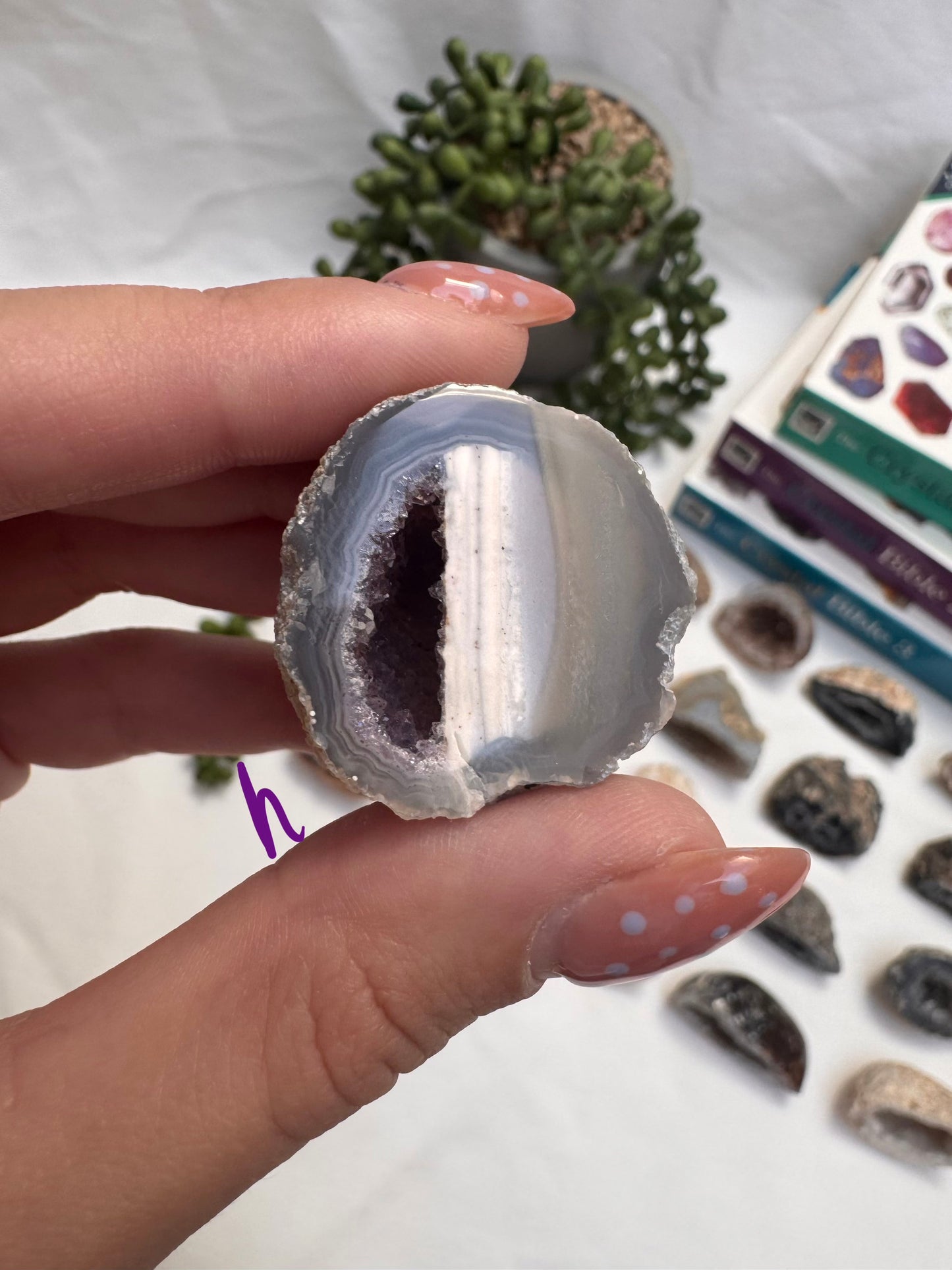 Agate Geode Halves