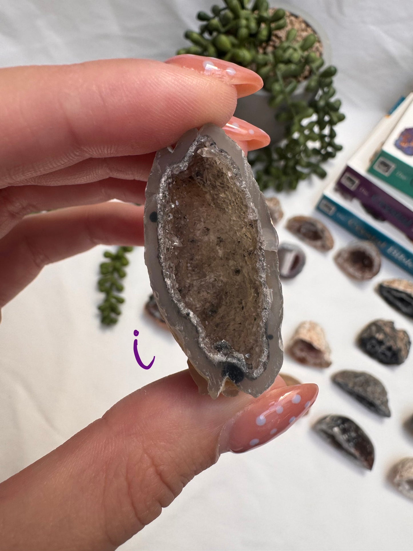 Agate Geode Halves