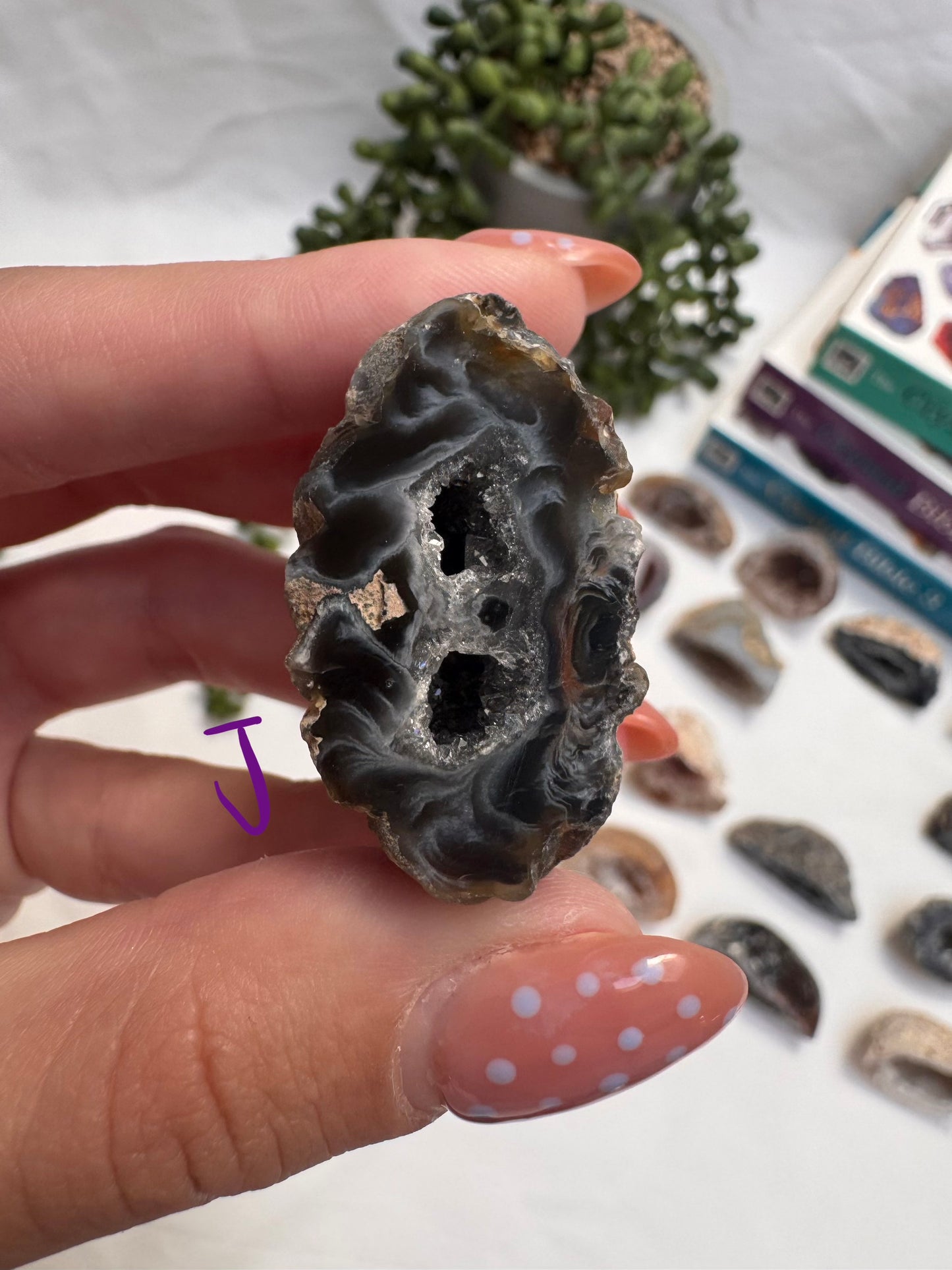 Agate Geode Halves