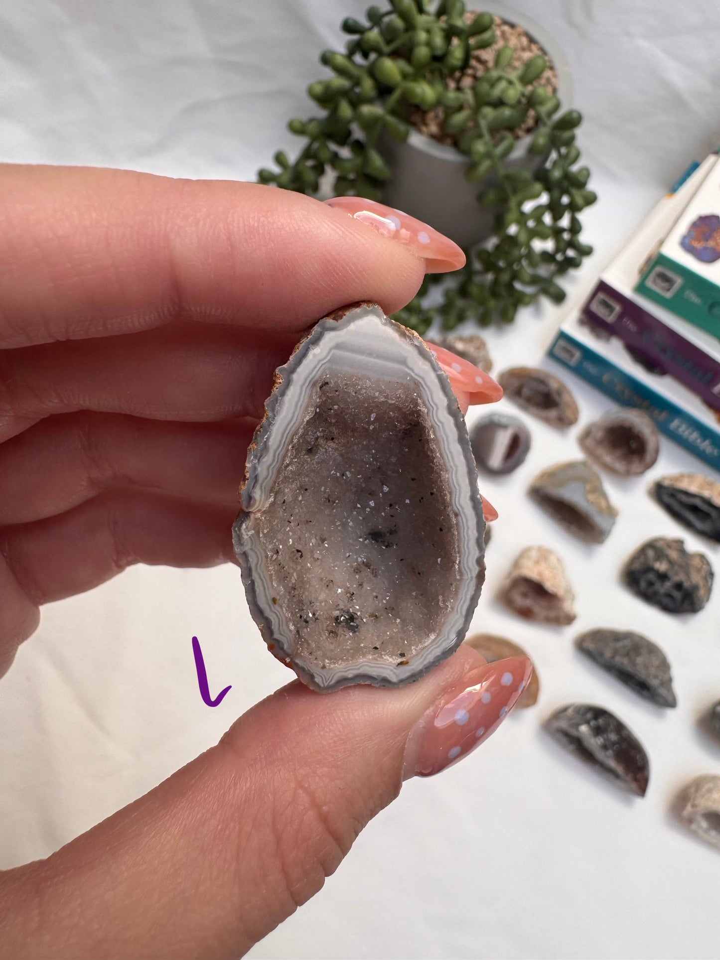 Agate Geode Halves