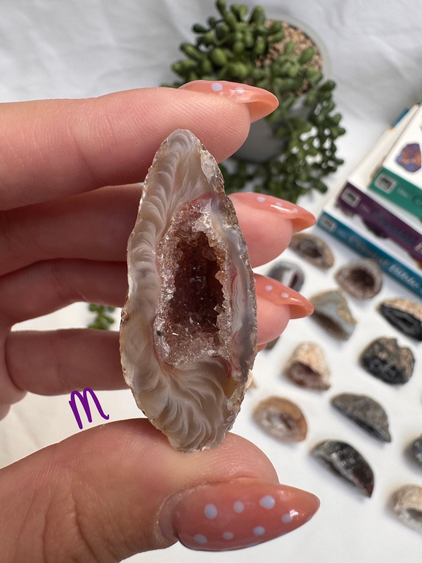 Agate Geode Halves