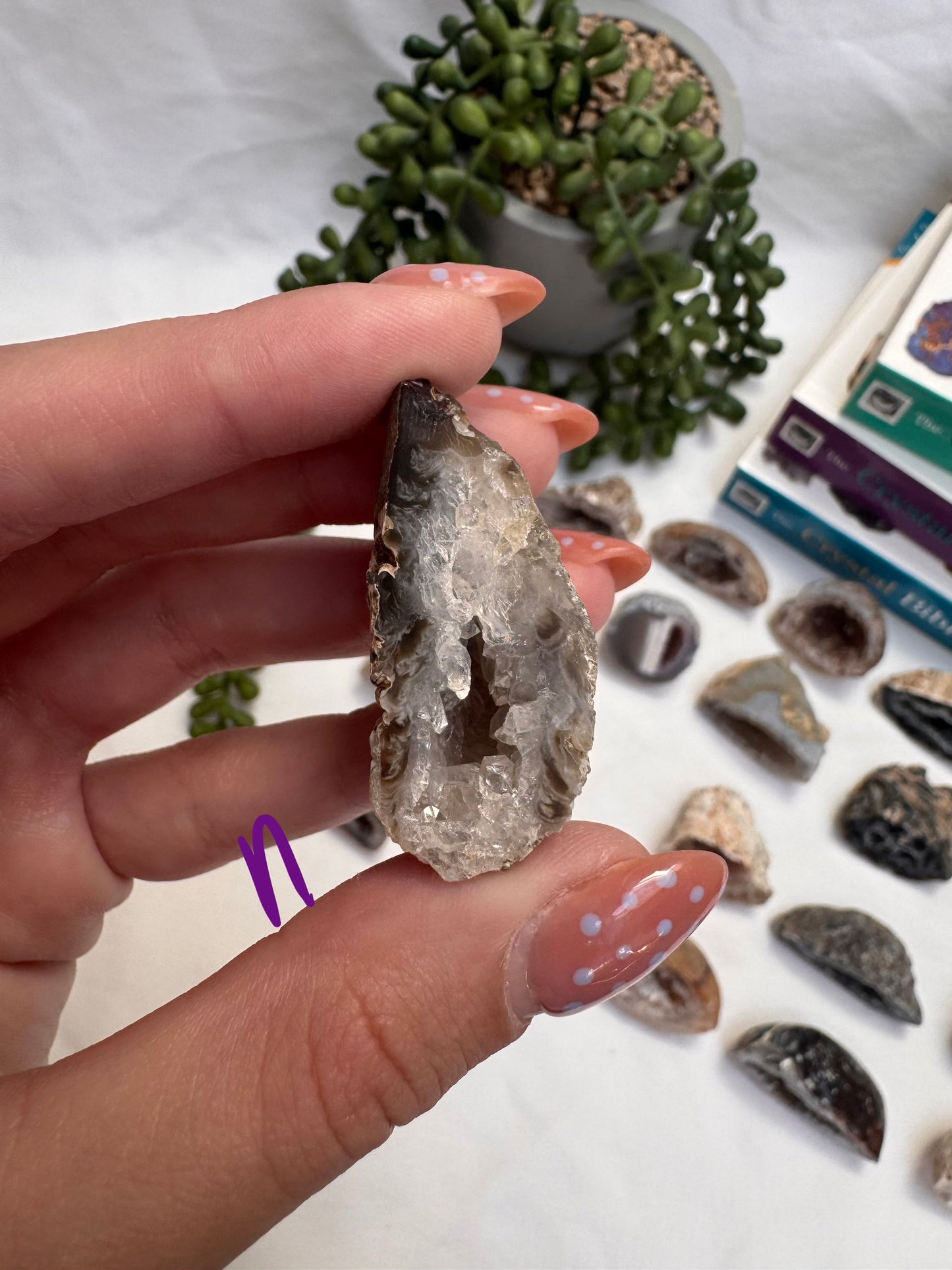 Agate Geode Halves