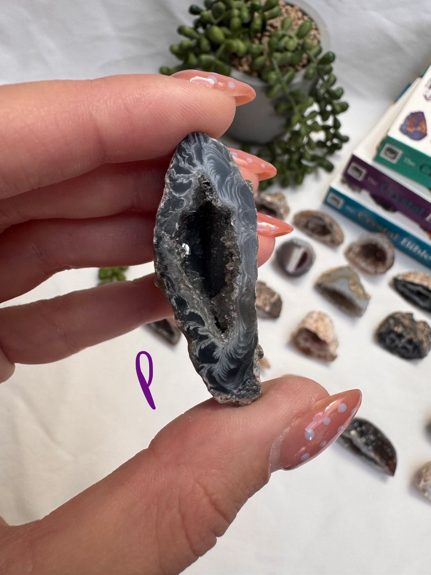 Agate Geode Halves