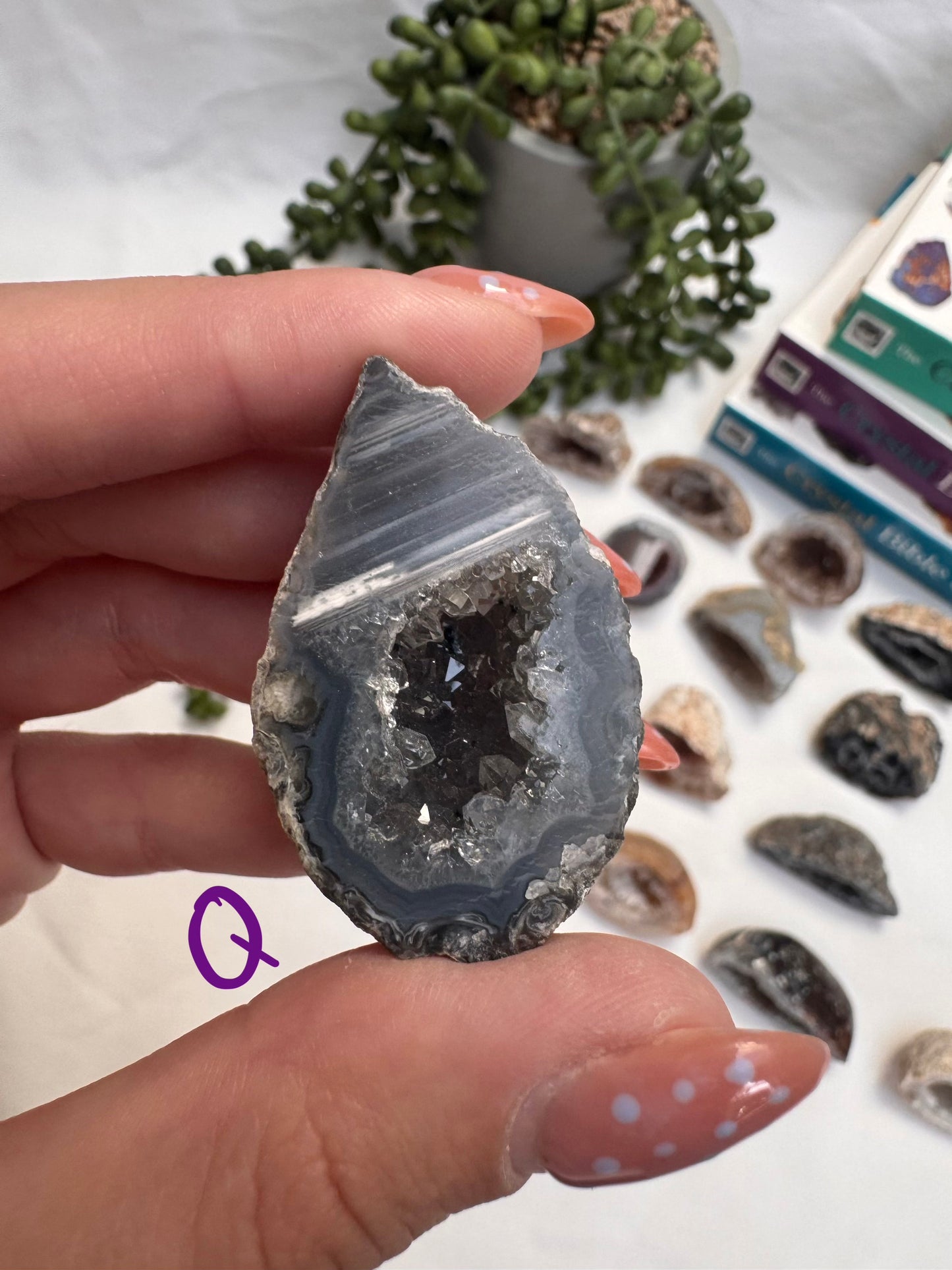 Agate Geode Halves