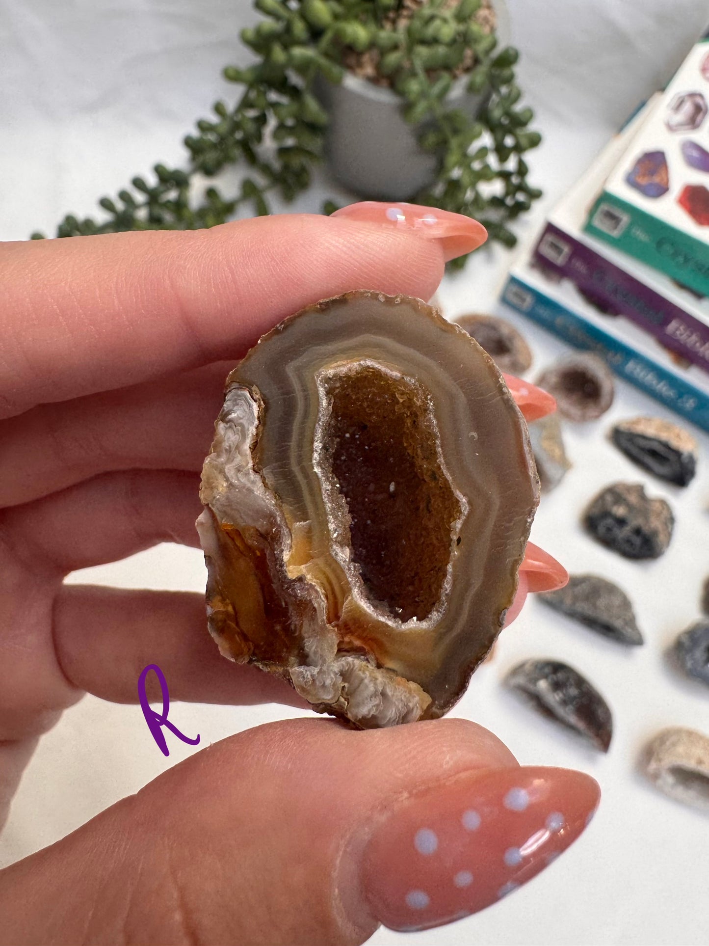 Agate Geode Halves