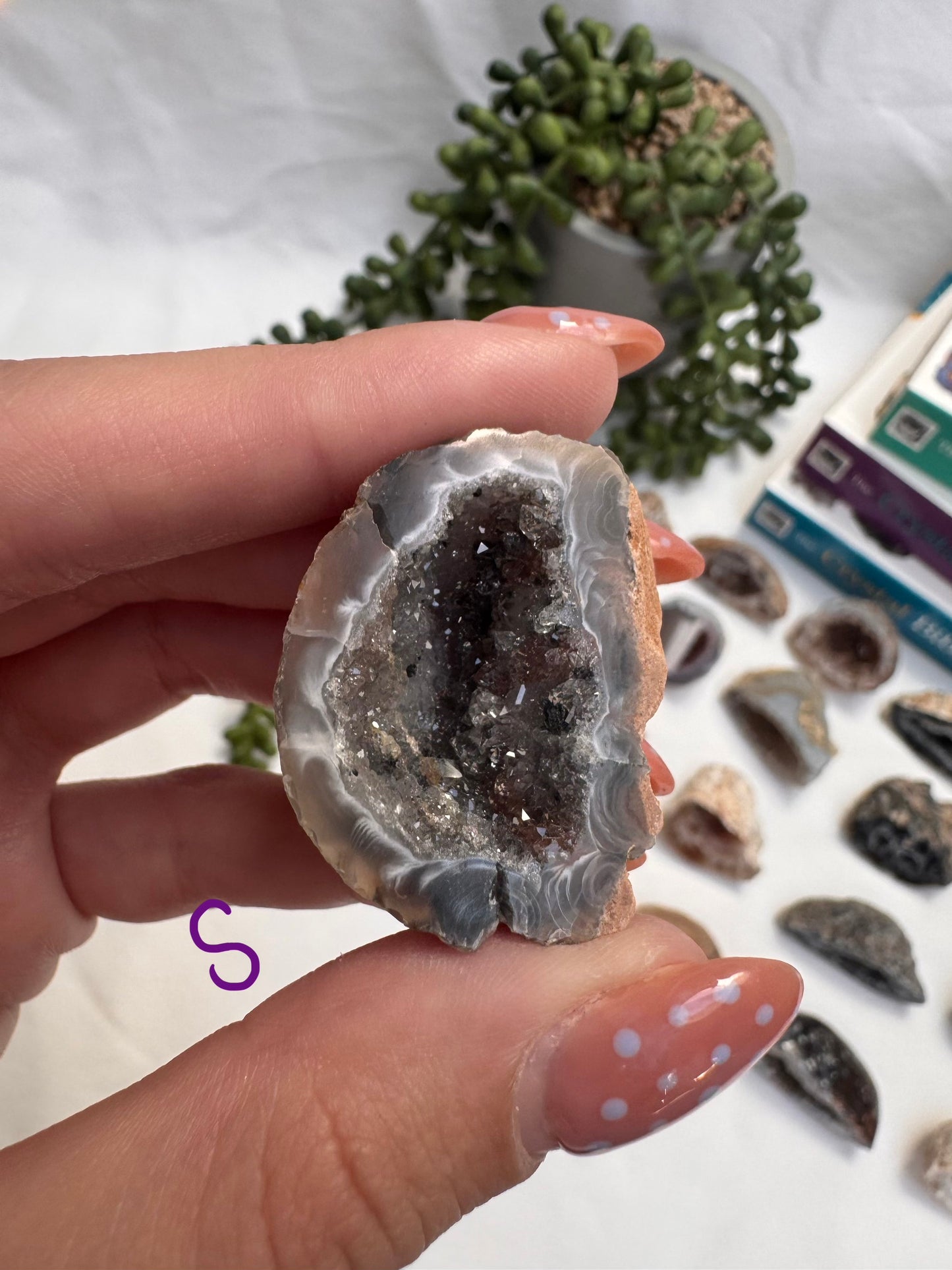 Agate Geode Halves