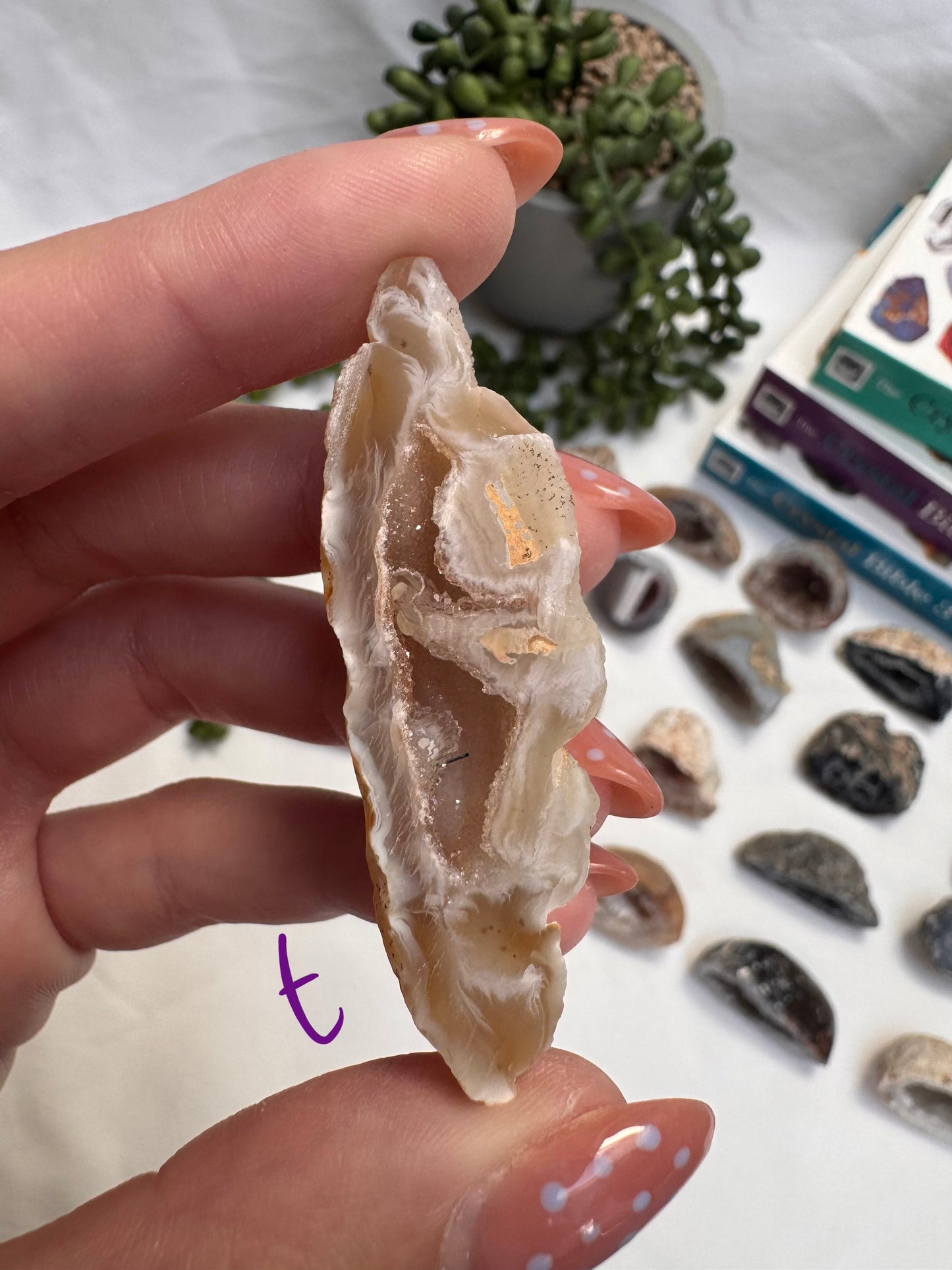 Agate Geode Halves