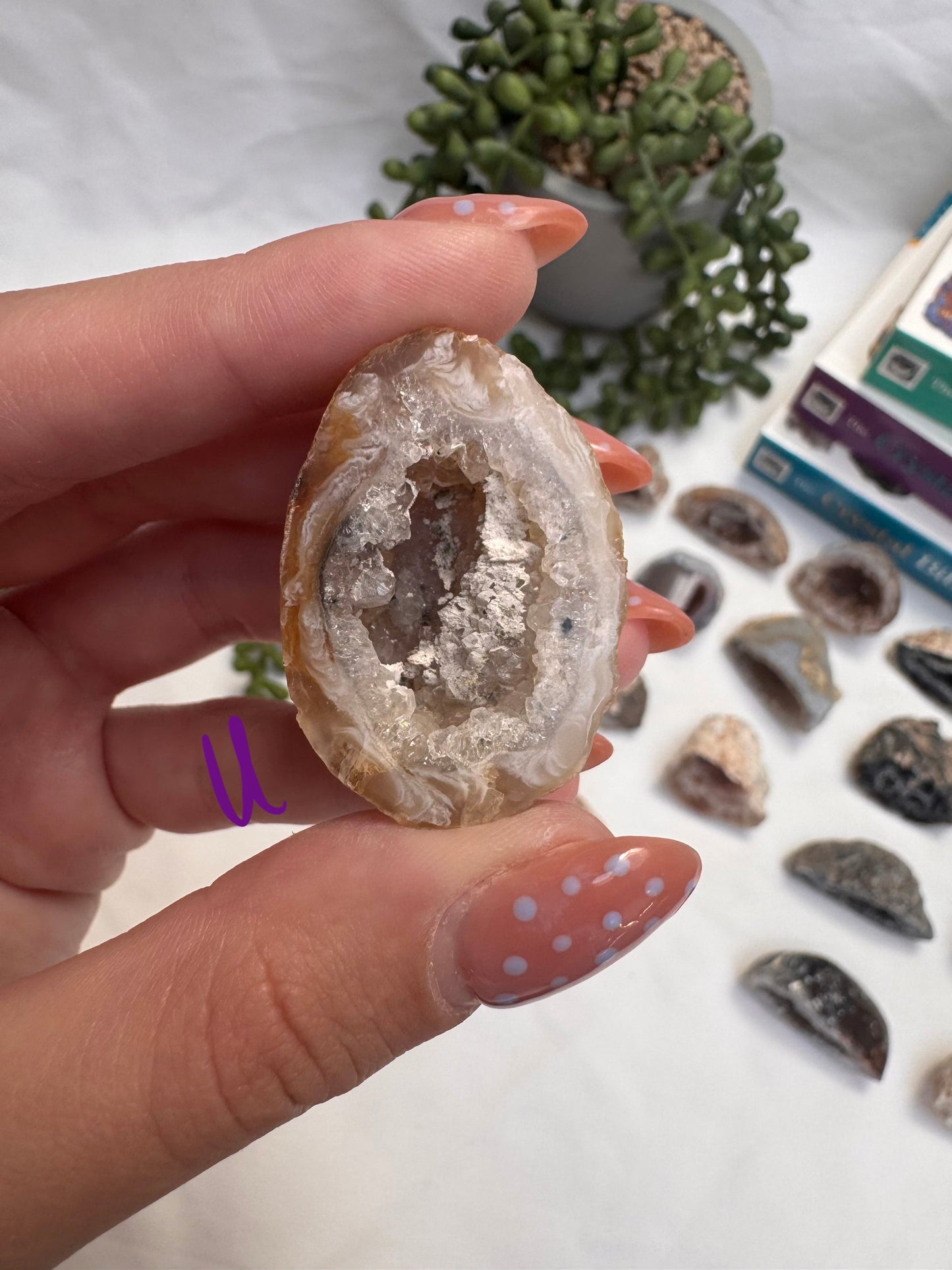 Agate Geode Halves