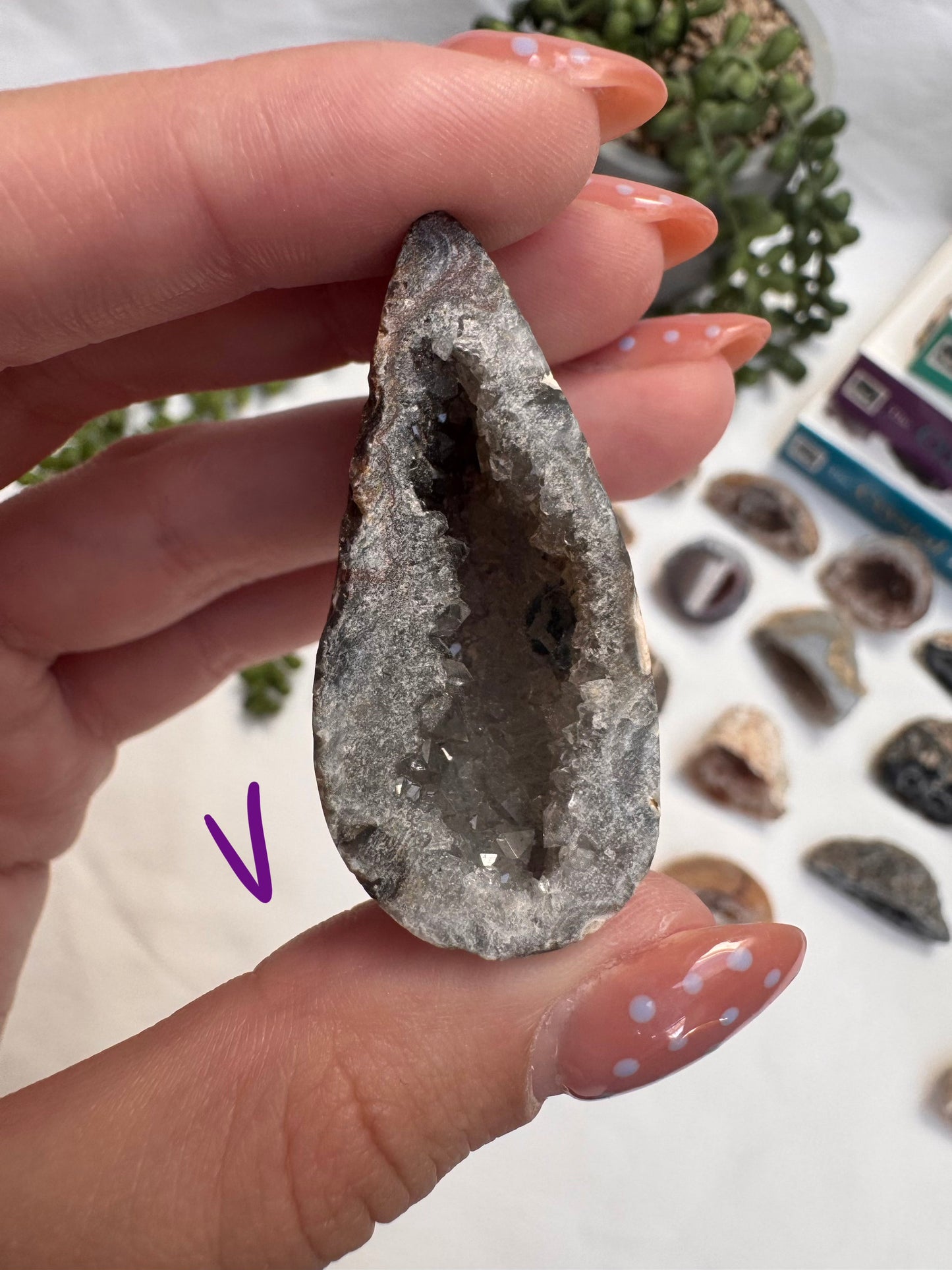 Agate Geode Halves