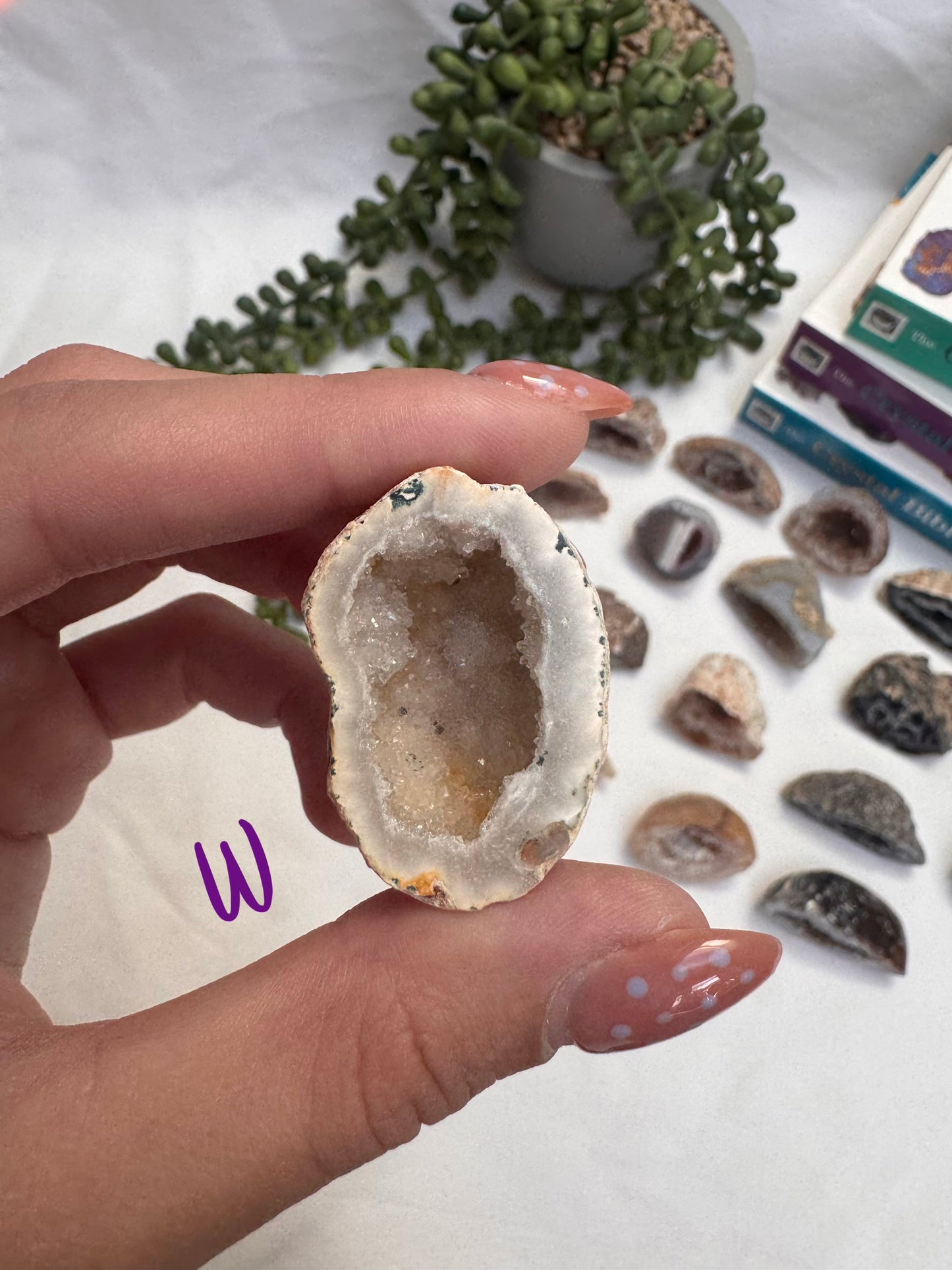 Agate Geode Halves