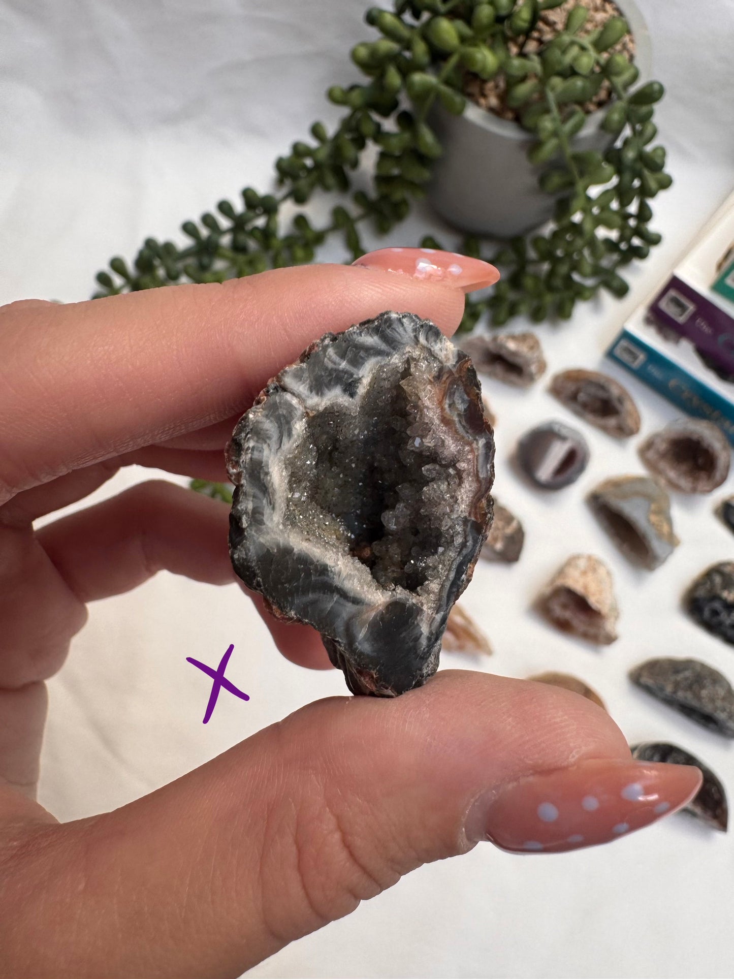 Agate Geode Halves