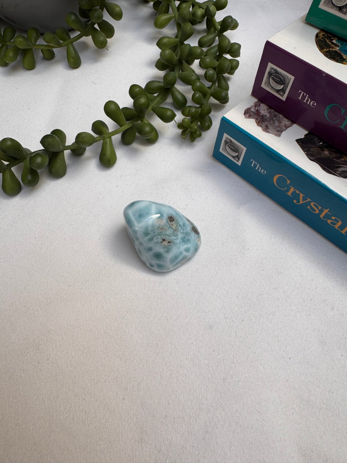 Larimar AA Grade Piece