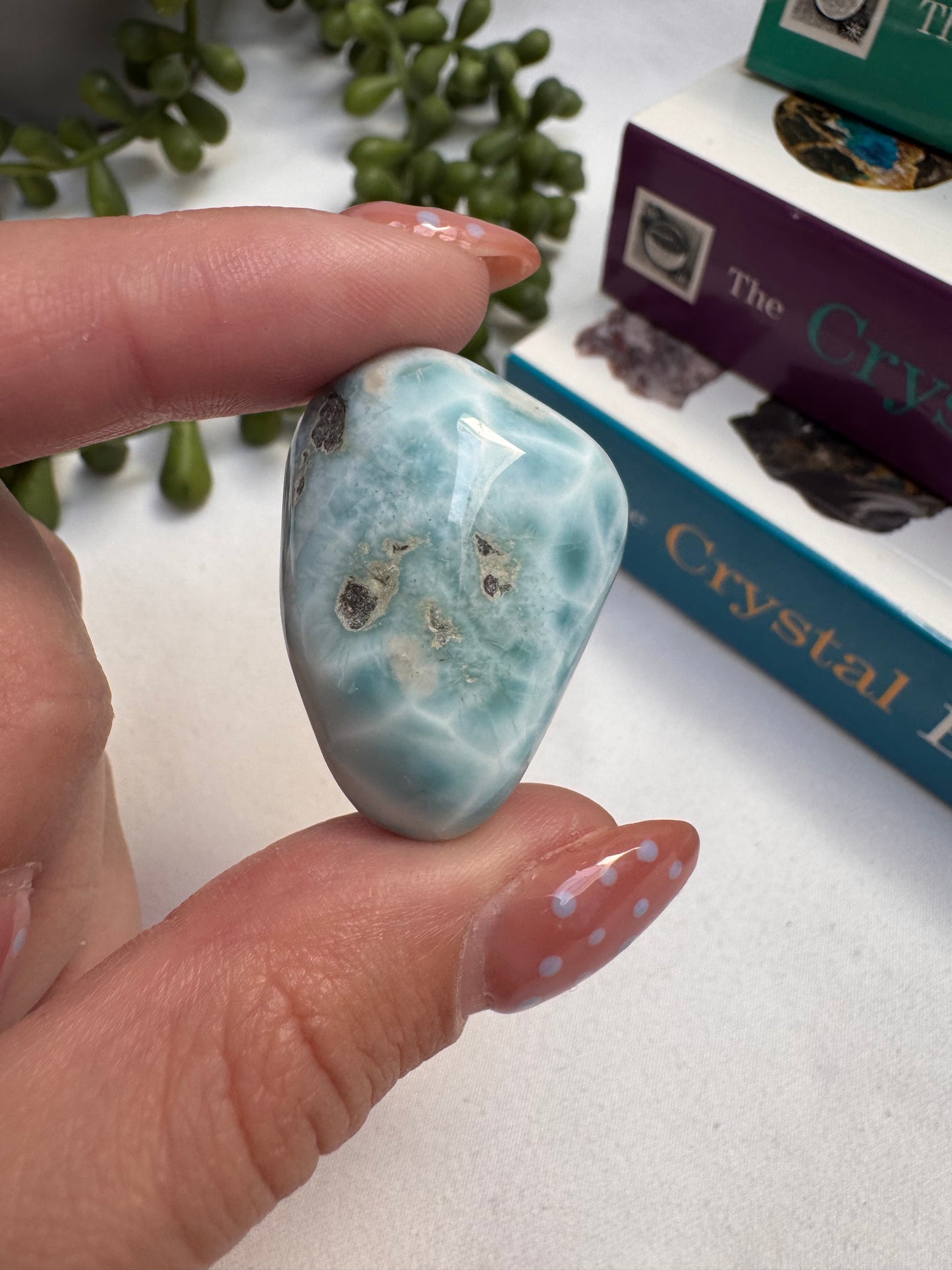 Larimar AA Grade Piece