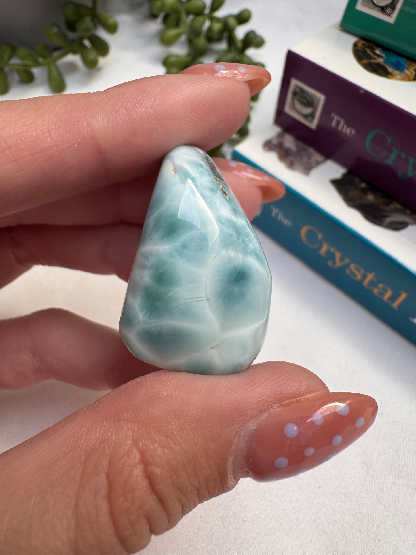 Larimar AA Grade Piece