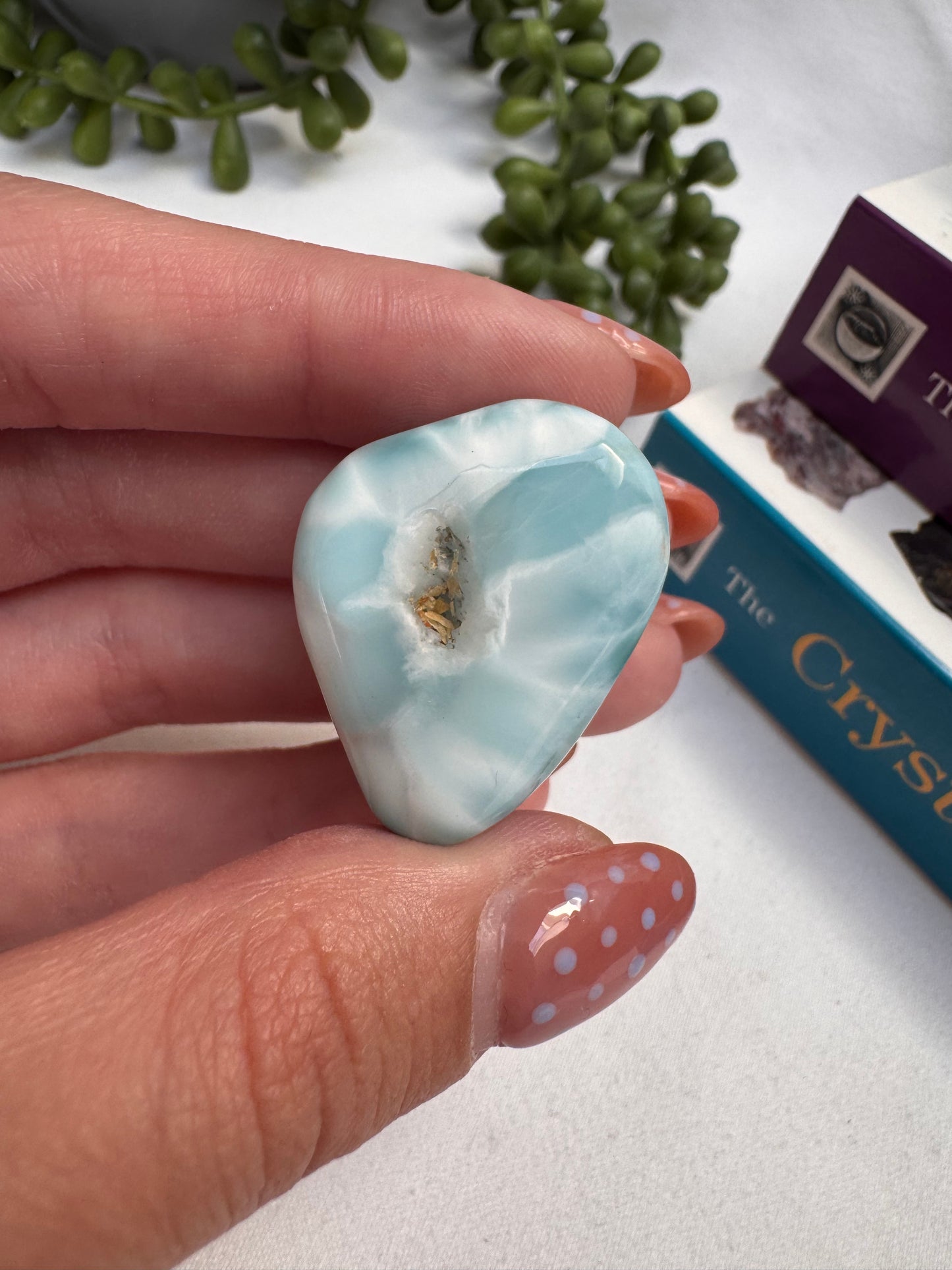 Larimar AA Grade Piece