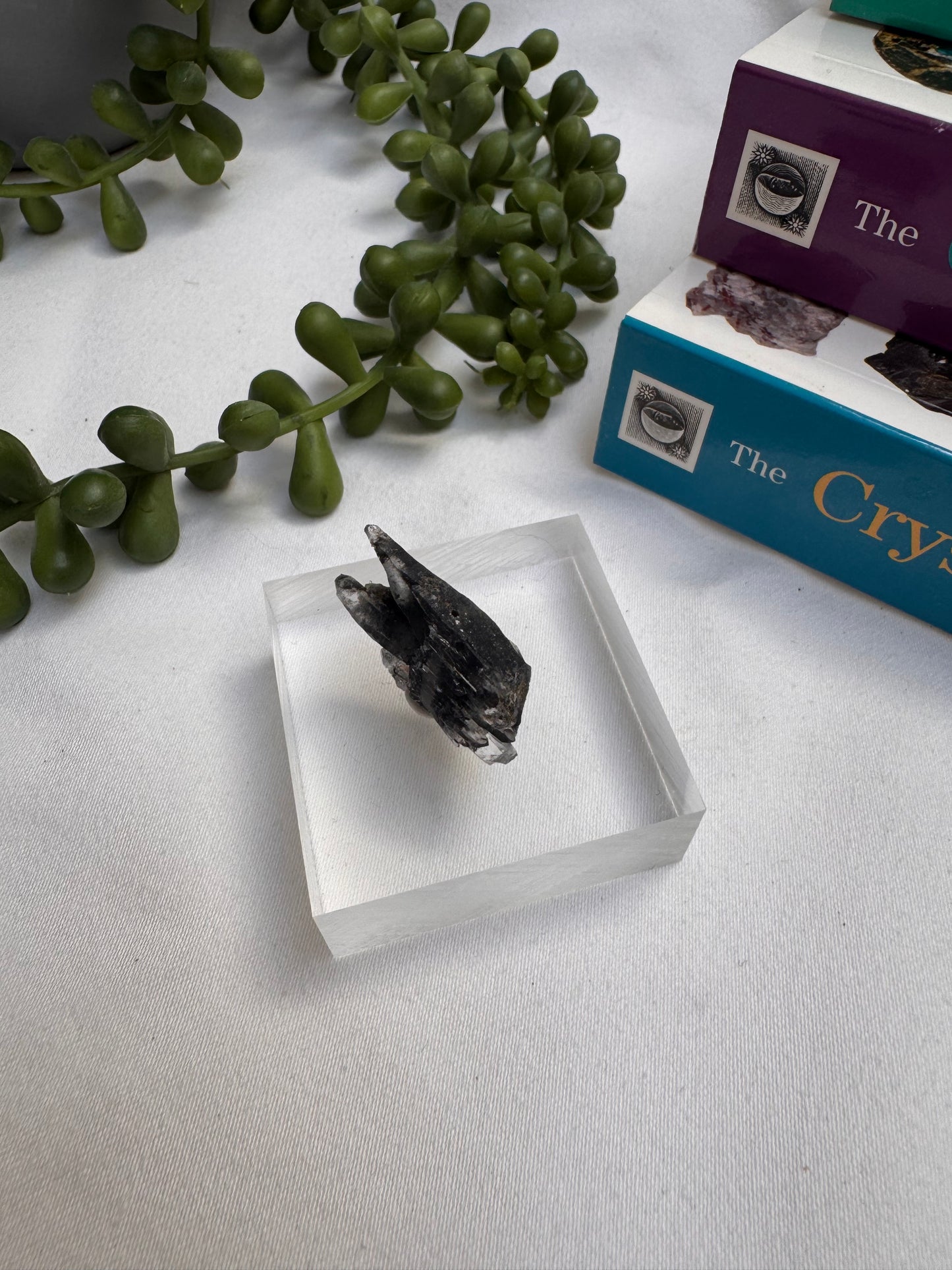 Phantom Quartz Specimen