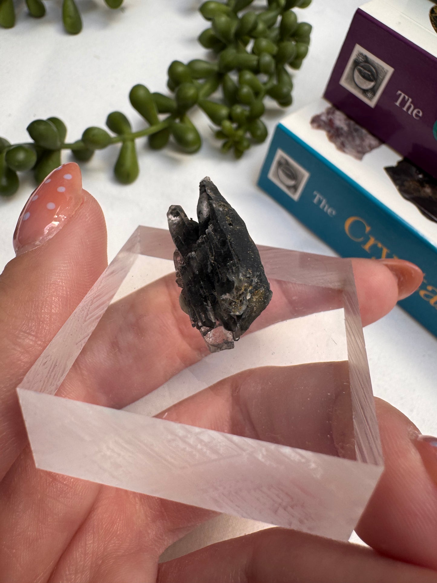 Phantom Quartz Specimen