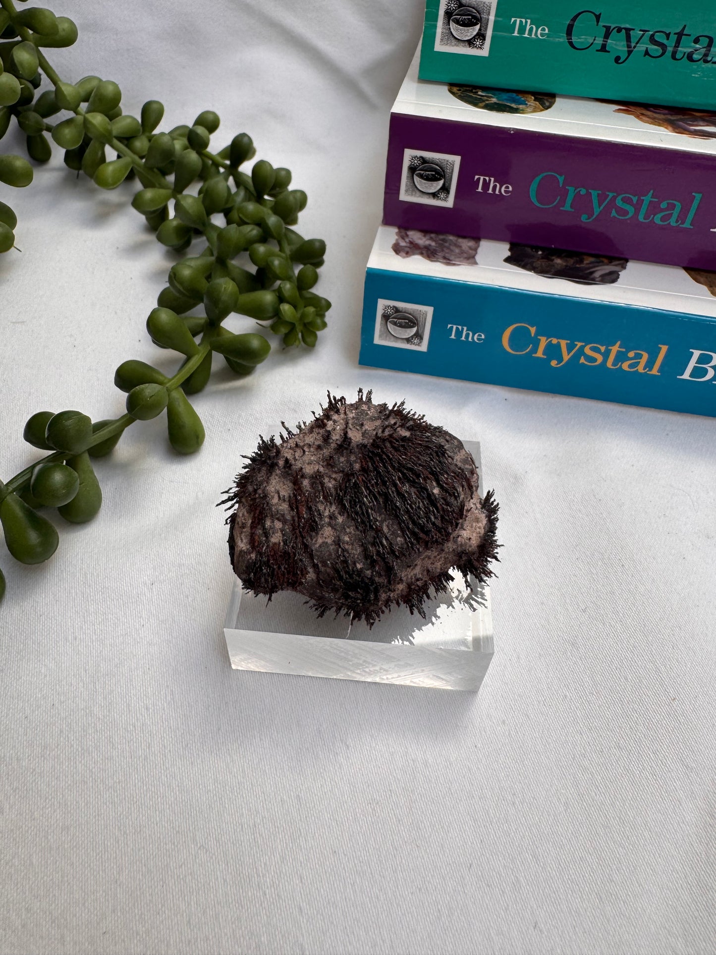 Magnetite Specimen