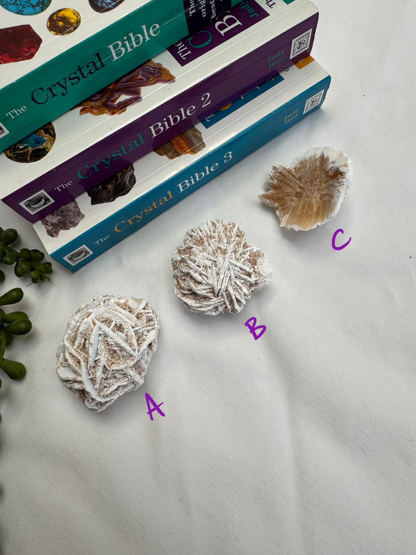Desert Rose Selenite Chunks