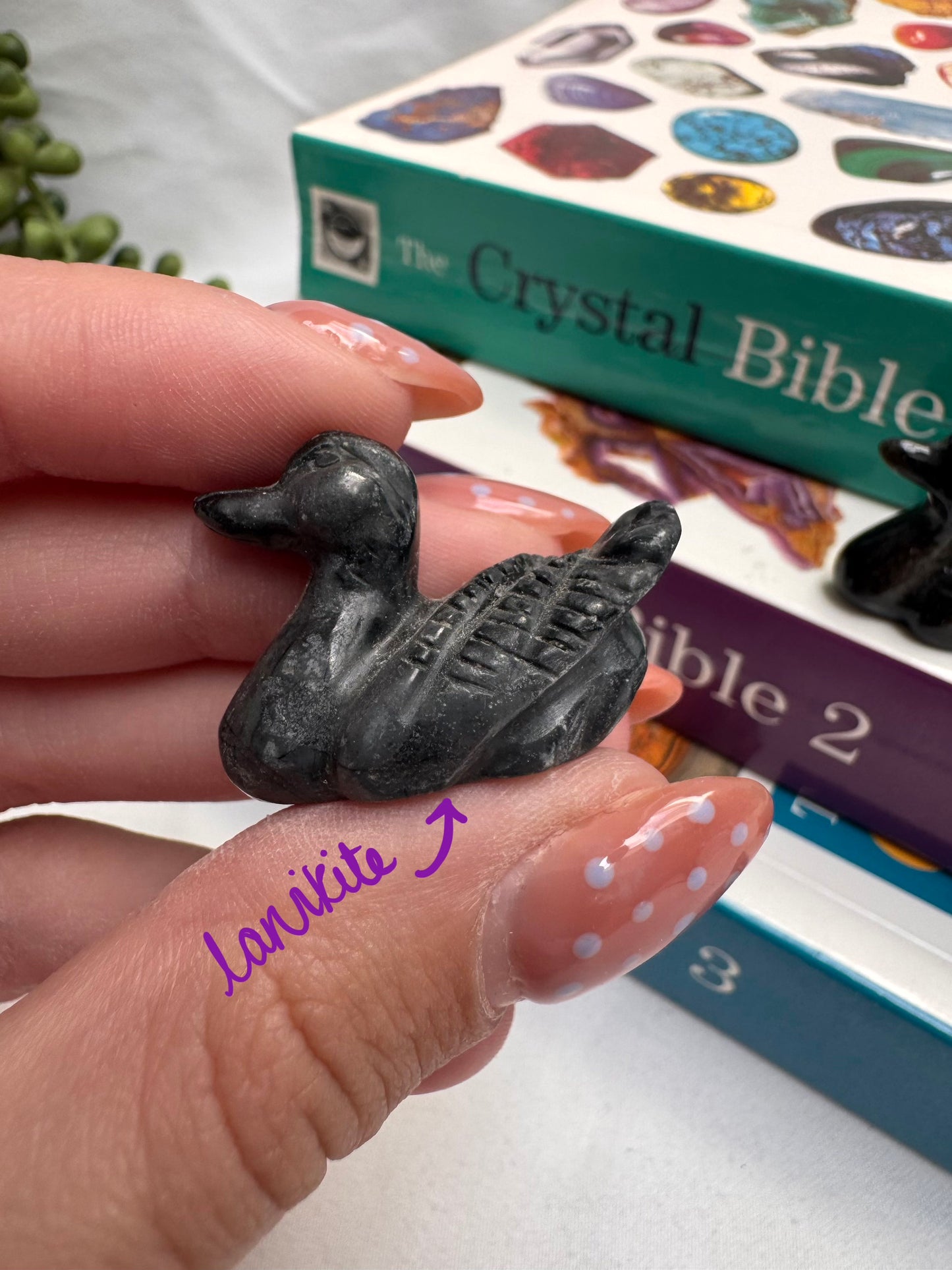 Duck Carvings