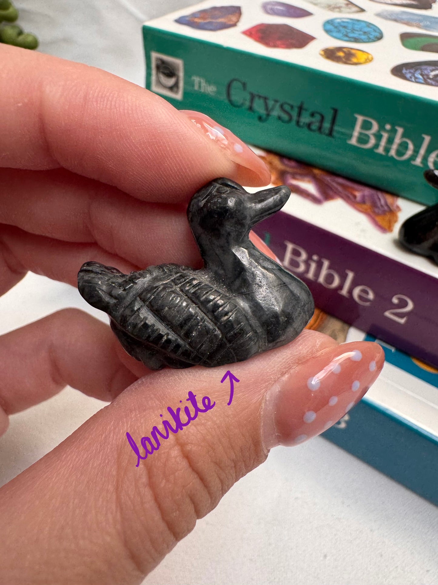 Duck Carvings