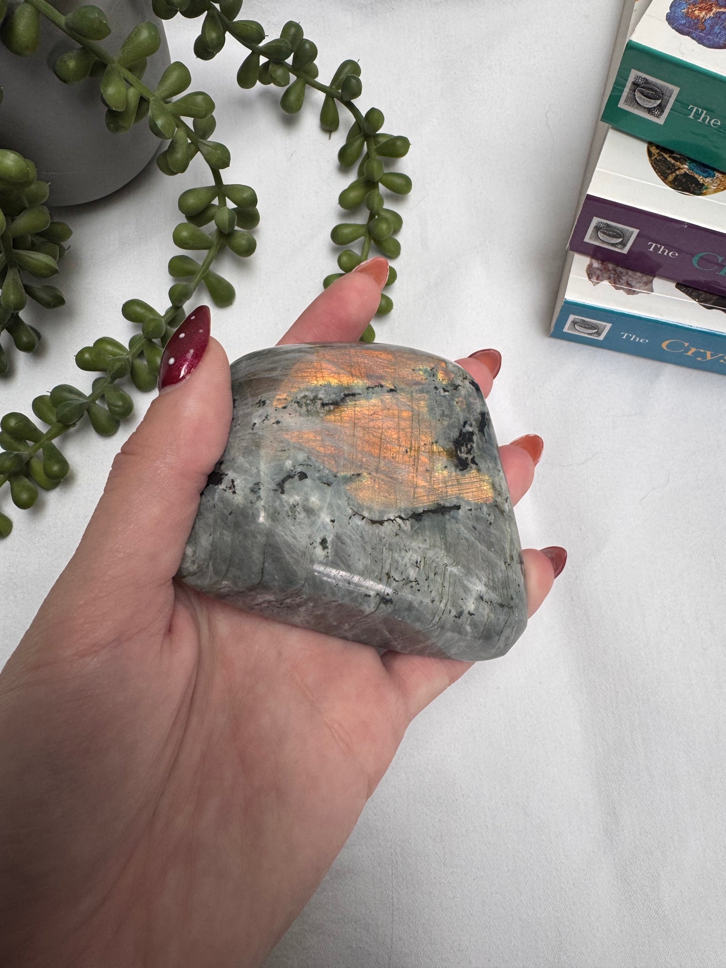 Labradorite Gold Freeform | Rehomed