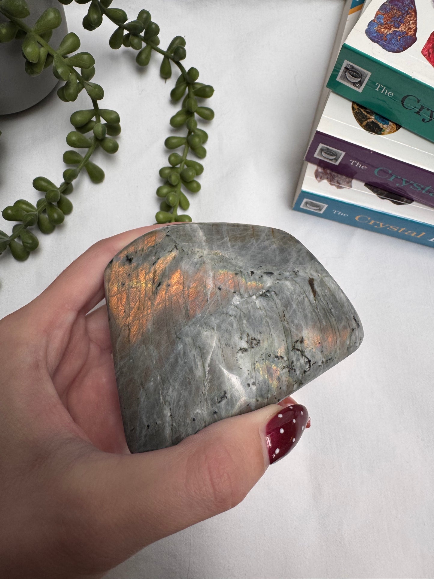 Labradorite Gold Freeform | Rehomed