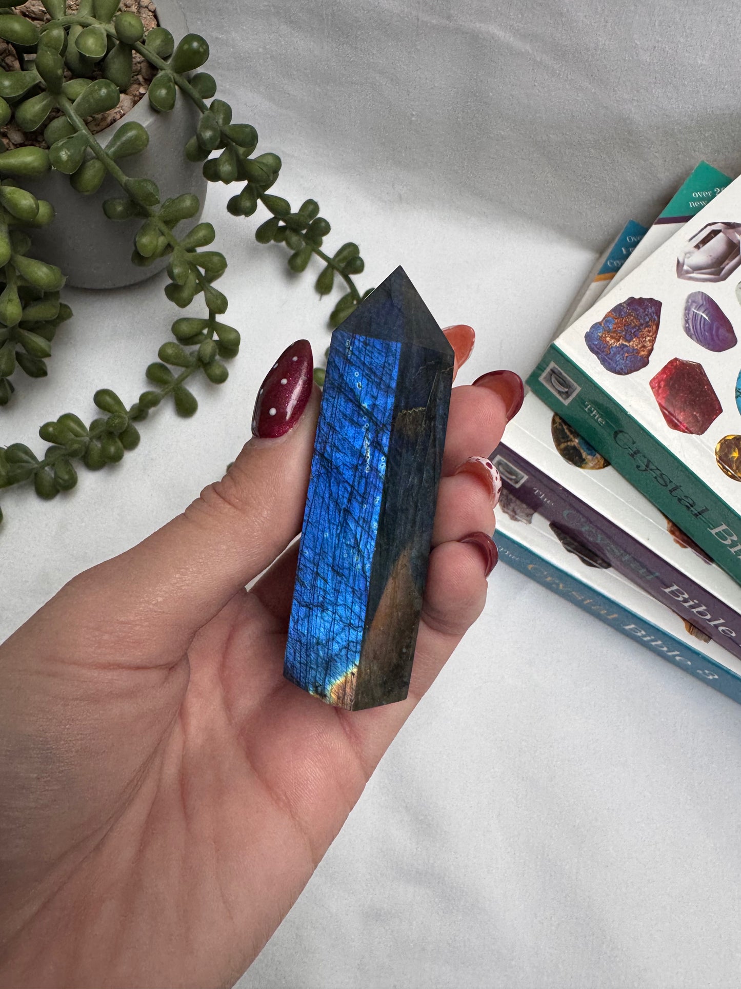 Labradorite Towers | Rehomed