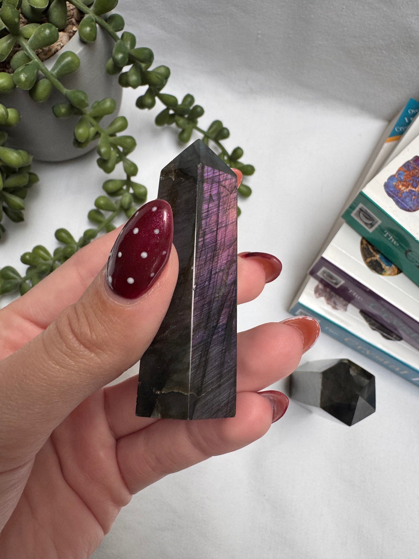 Labradorite Towers | Rehomed
