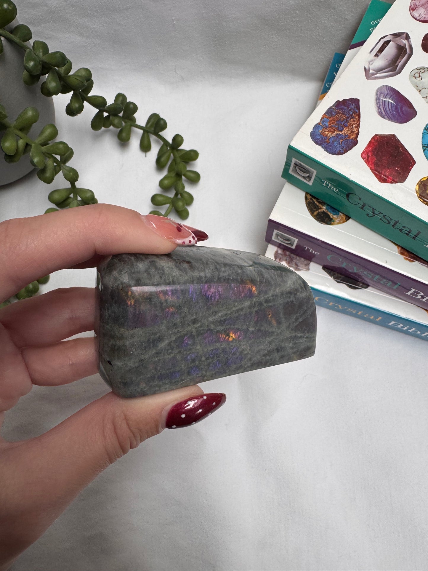 Labradorite Purple Freeform | Rehomed