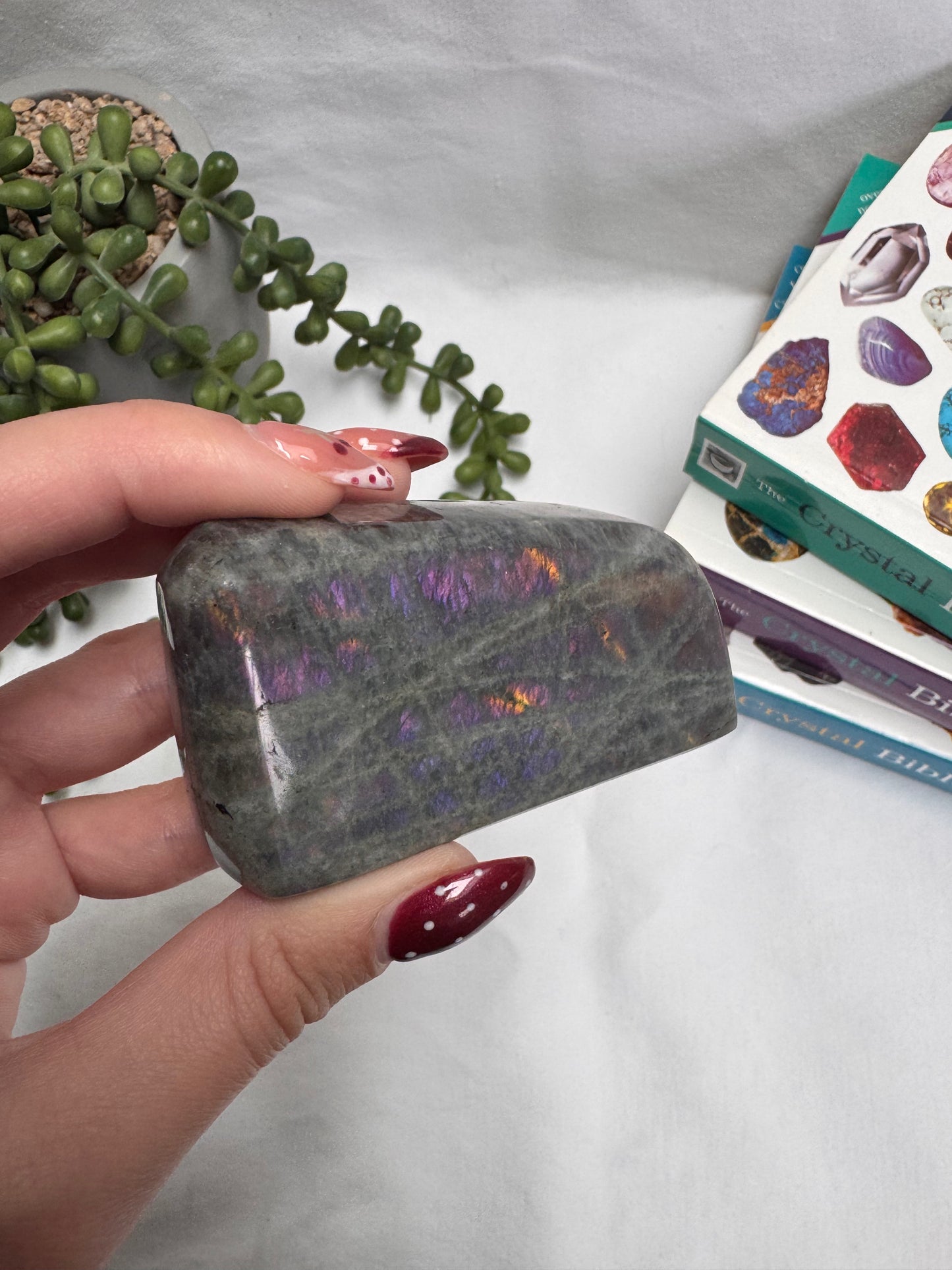 Labradorite Purple Freeform | Rehomed