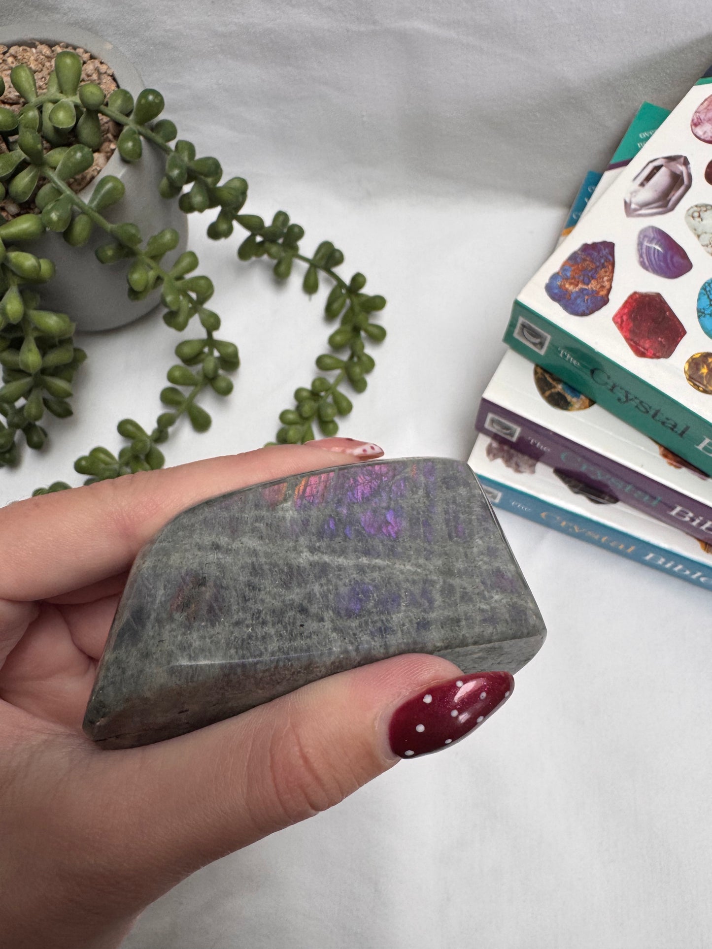 Labradorite Purple Freeform | Rehomed
