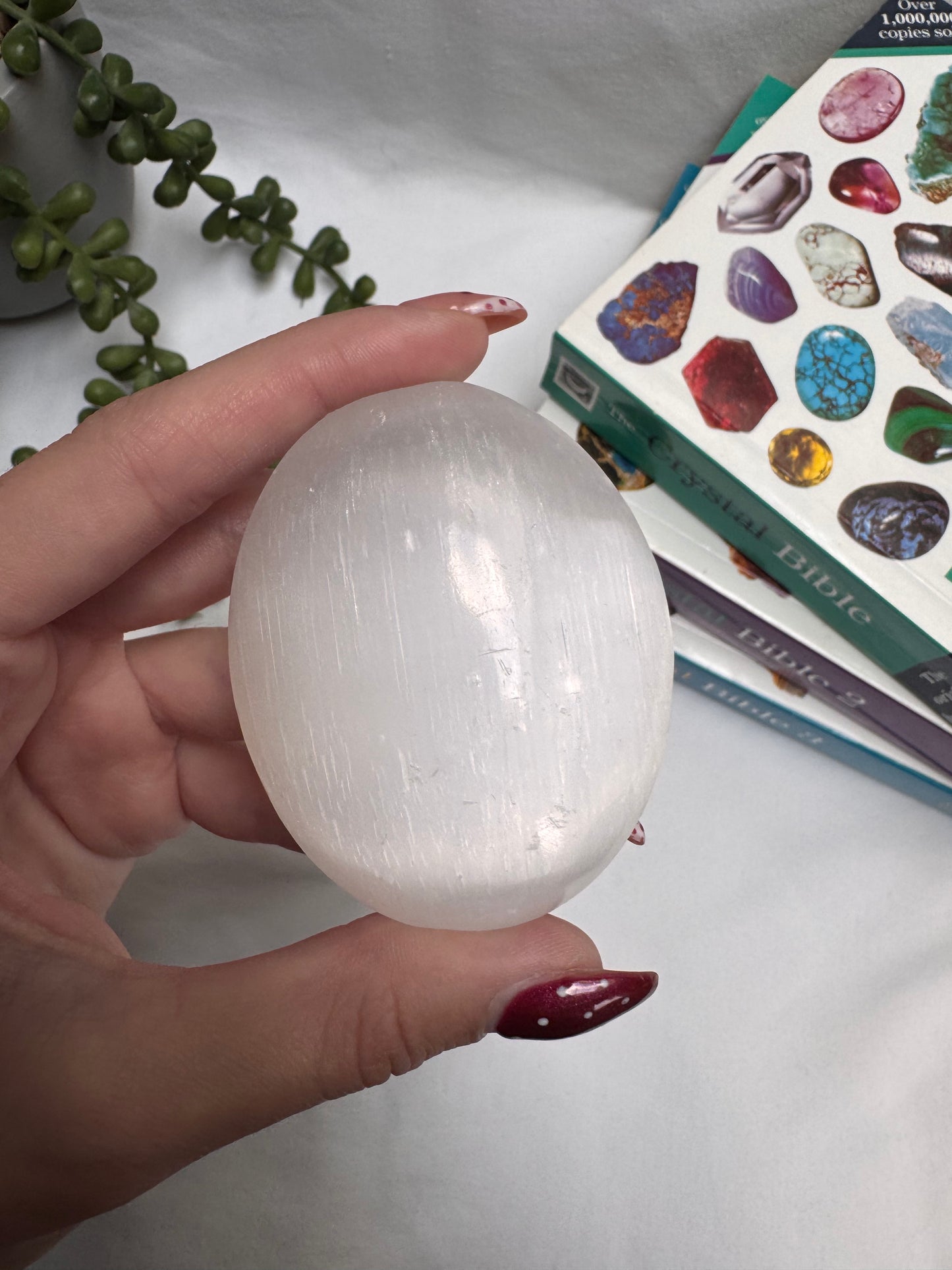 Selenite Palmstone | Rehomed