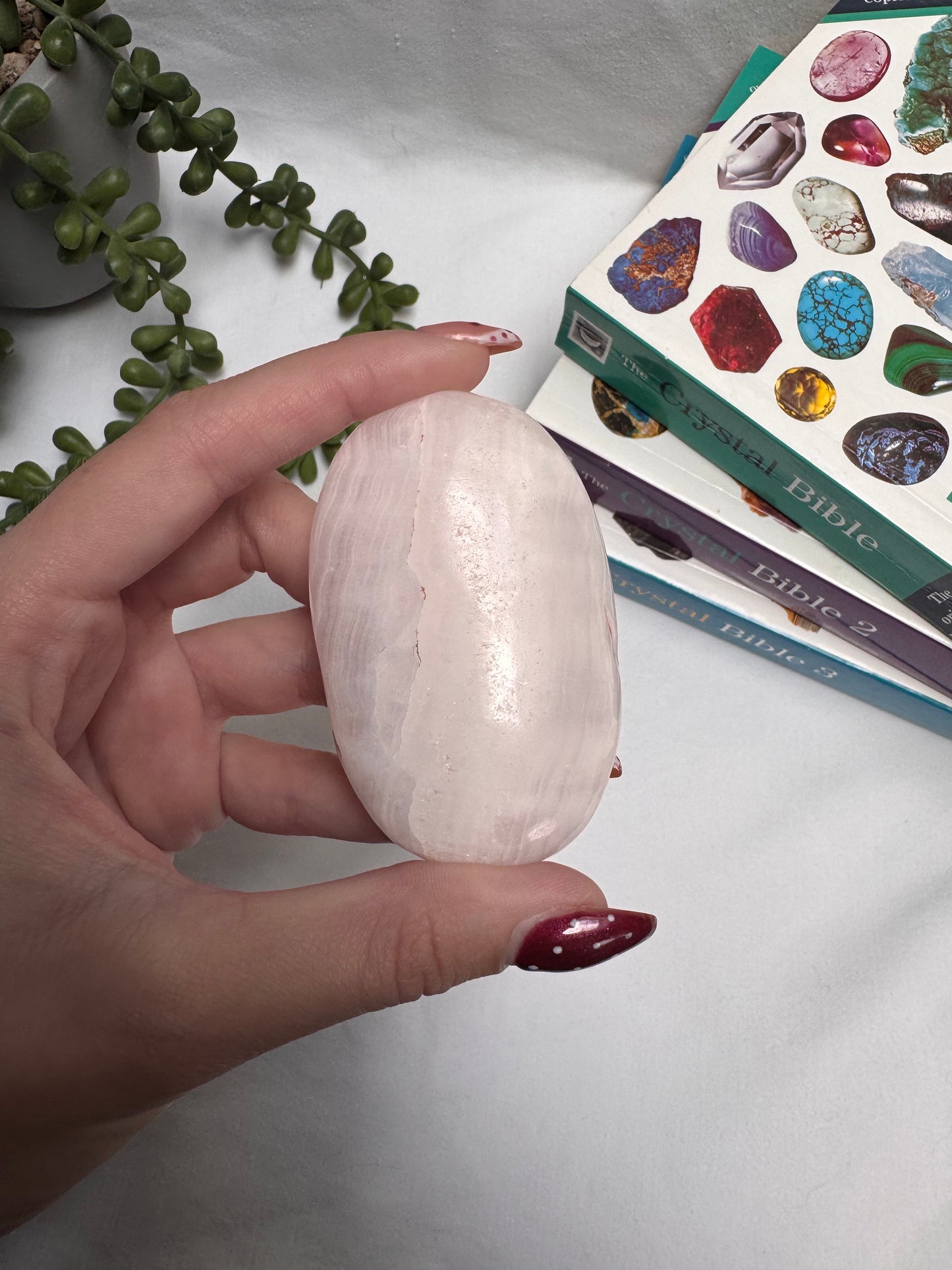 Mangano Calcite Palmstone | Rehomed