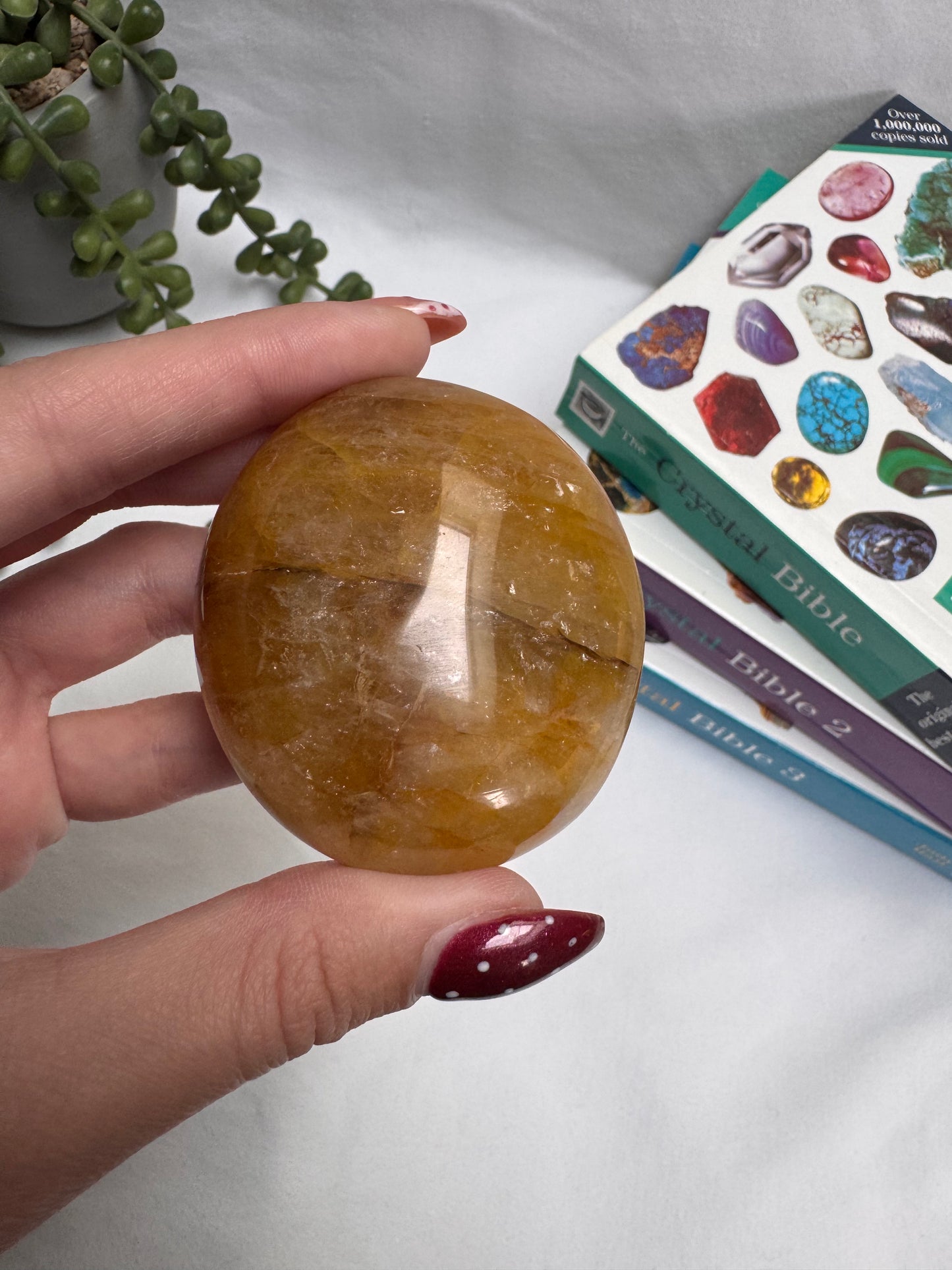 Golden Healer Palmstone | Rehomed