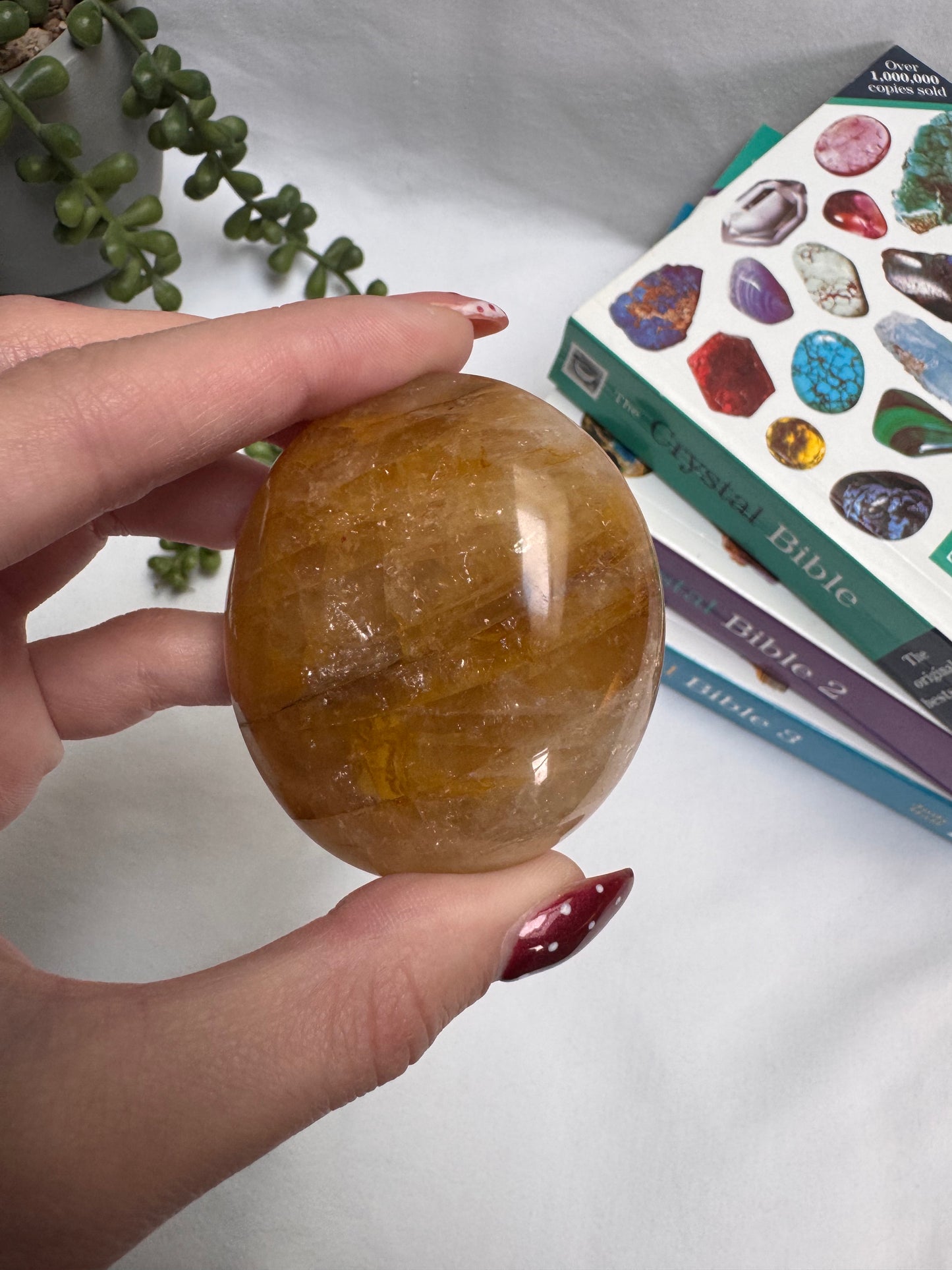 Golden Healer Palmstone | Rehomed