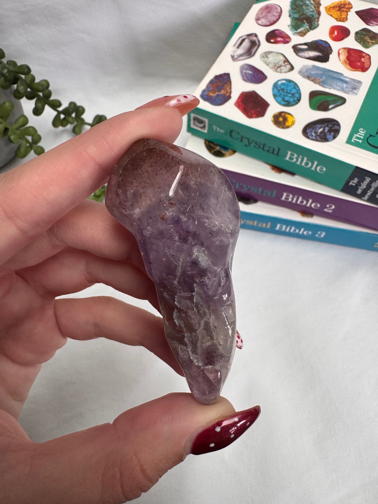 Amethyst Polished Root | Rehomed